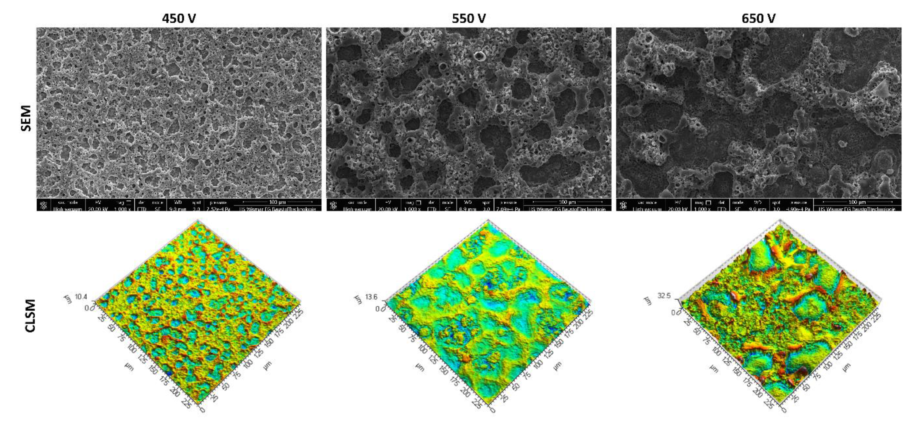 Materials 13 01295 g001 Materials 13 01295 g001