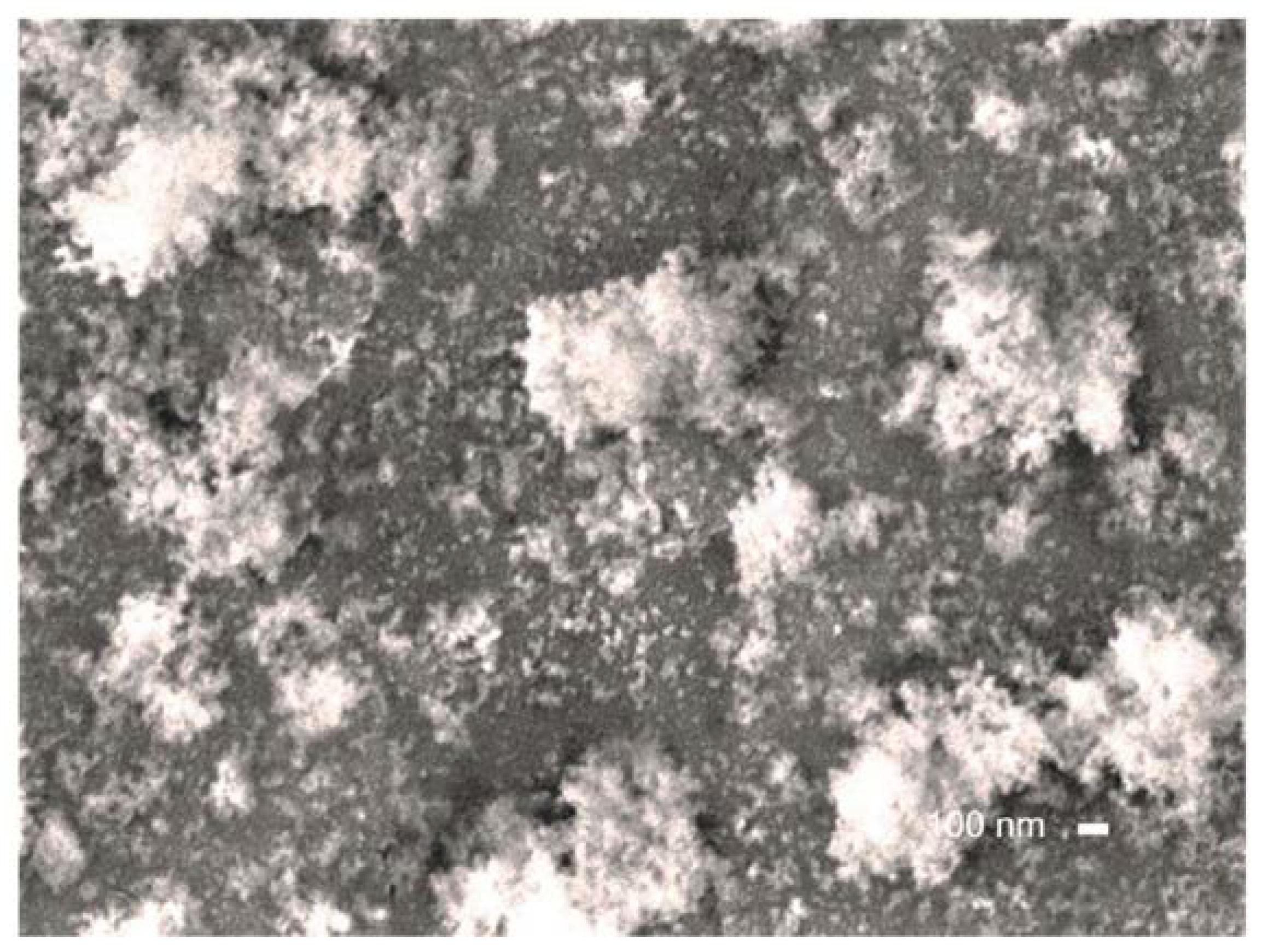 Materials 13 01296 g011 Materials 13 01296 g011