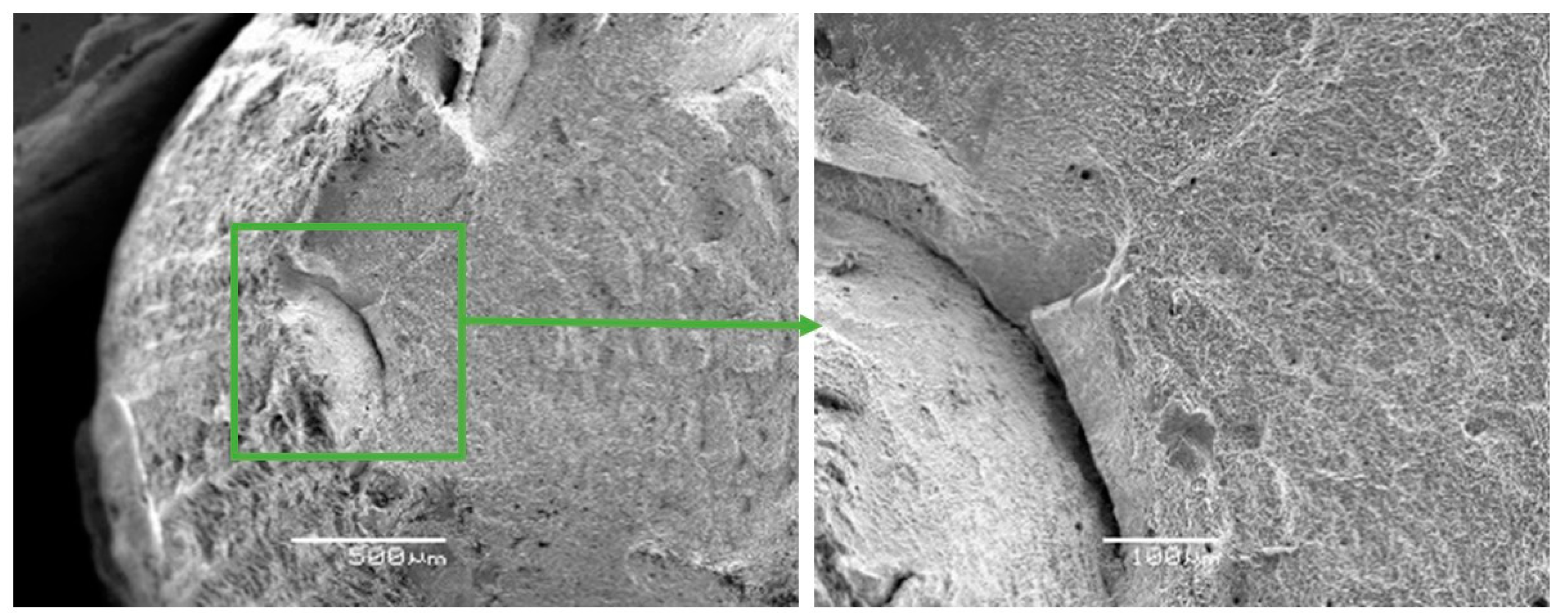 Materials 13 01306 g006 Materials 13 01306 g006