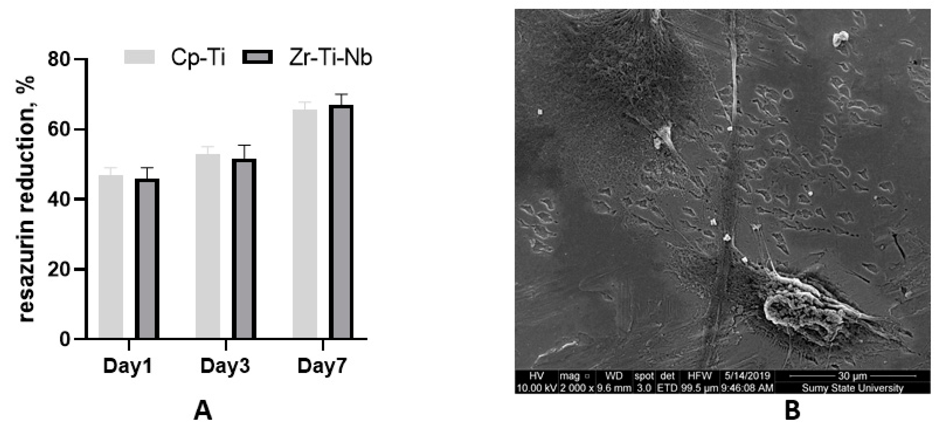 Materials 13 01306 g008 Materials 13 01306 g008