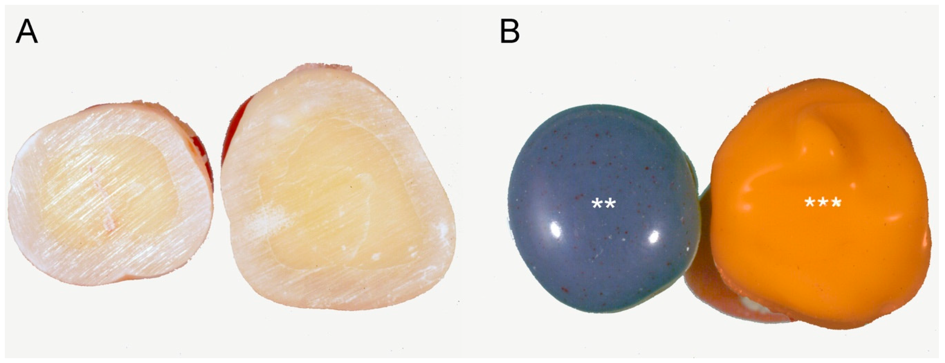 Materials 13 01321 g001 Materials 13 01321 g001