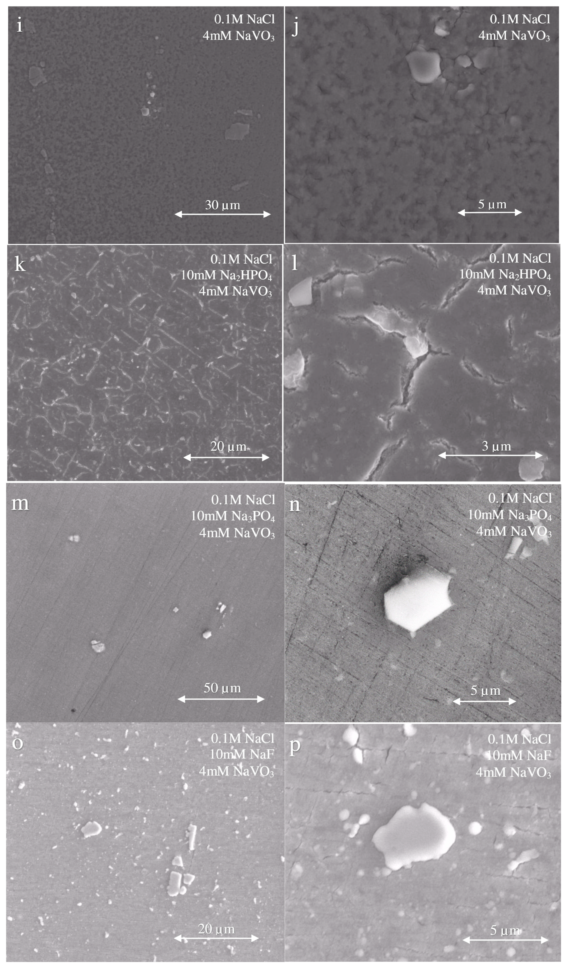 Materials 13 01325 g004b