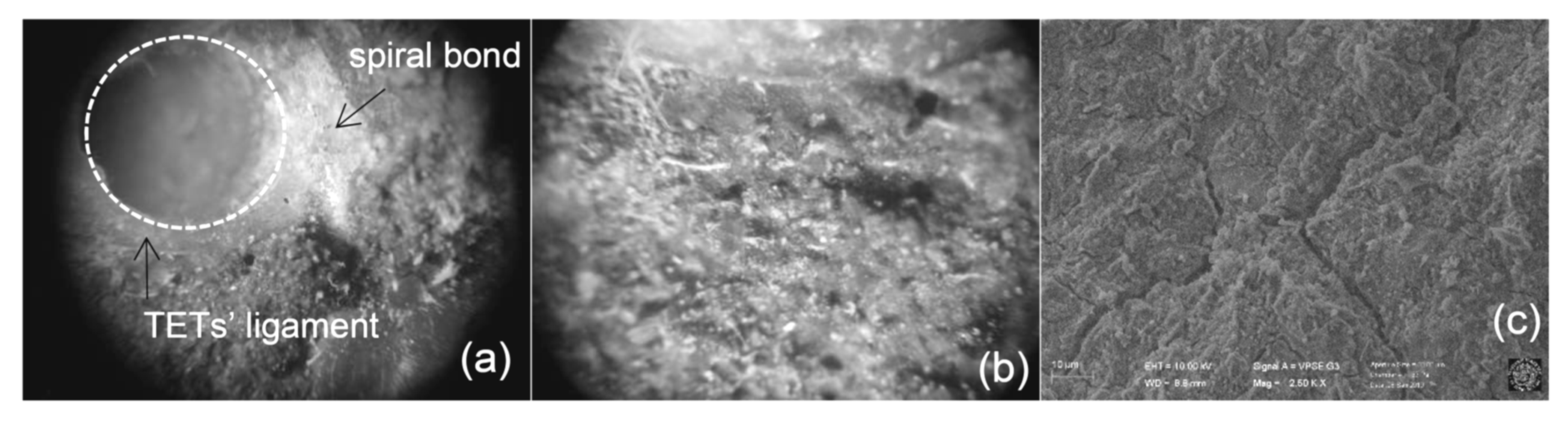 Materials 13 01328 g014 Materials 13 01328 g014