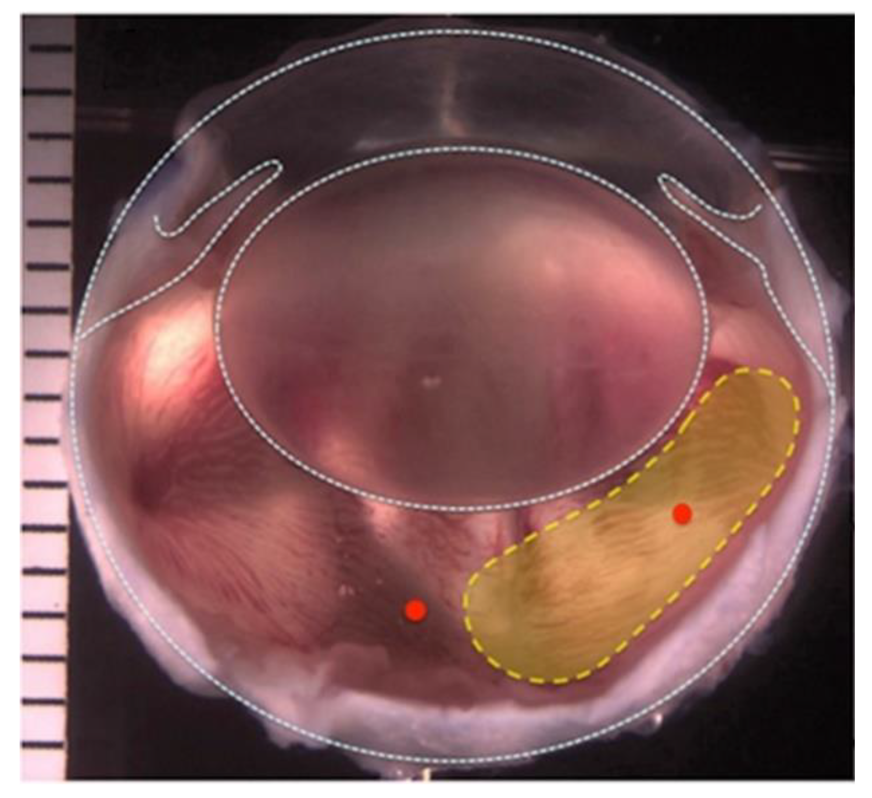 Materials 13 01337 g001 Materials 13 01337 g001