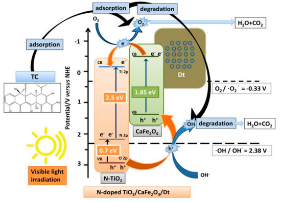 Recent Achievements in Development of TiO2-Based Composite