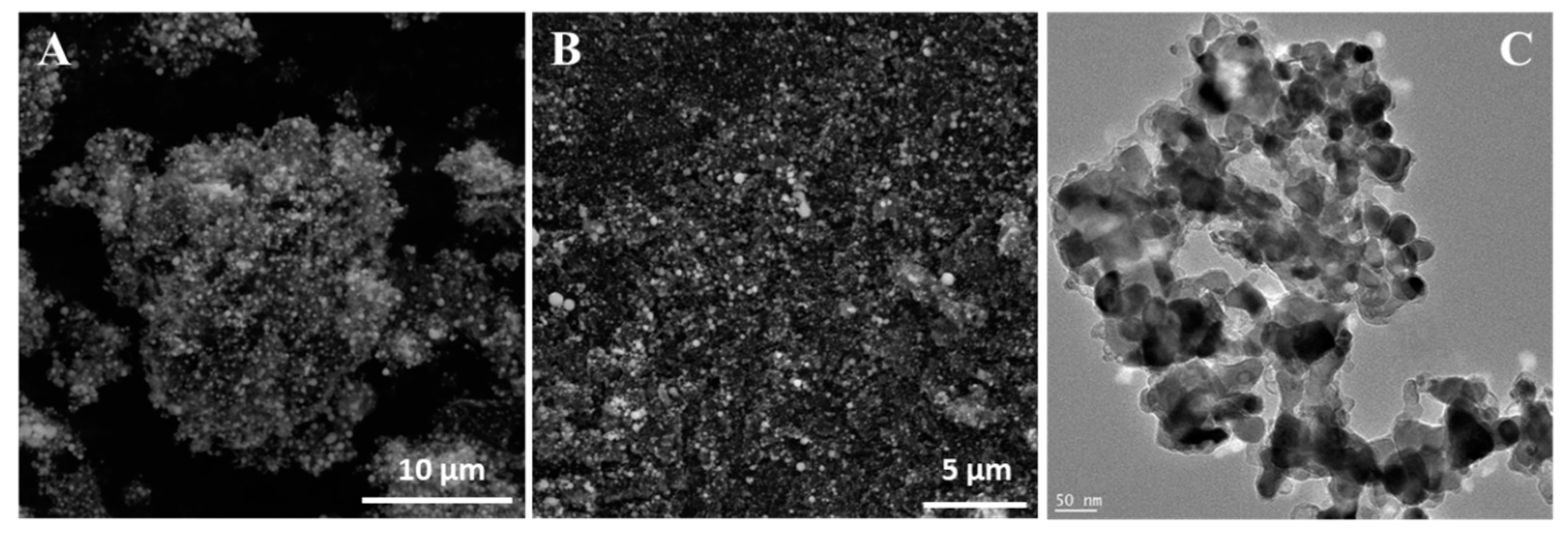 Materials 13 01349 g004 Materials 13 01349 g004