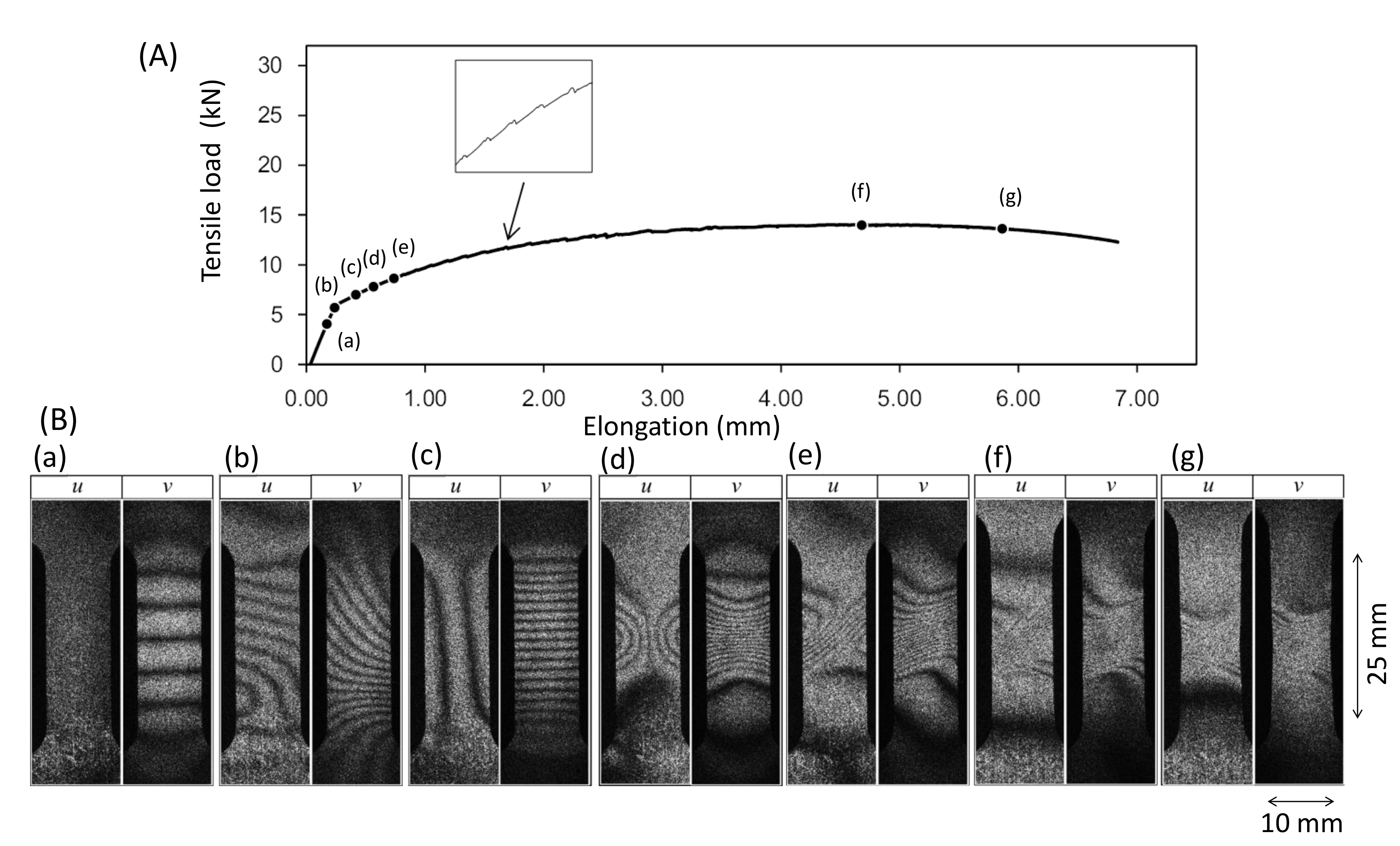 Materials 13 01363 g003 Materials 13 01363 g003