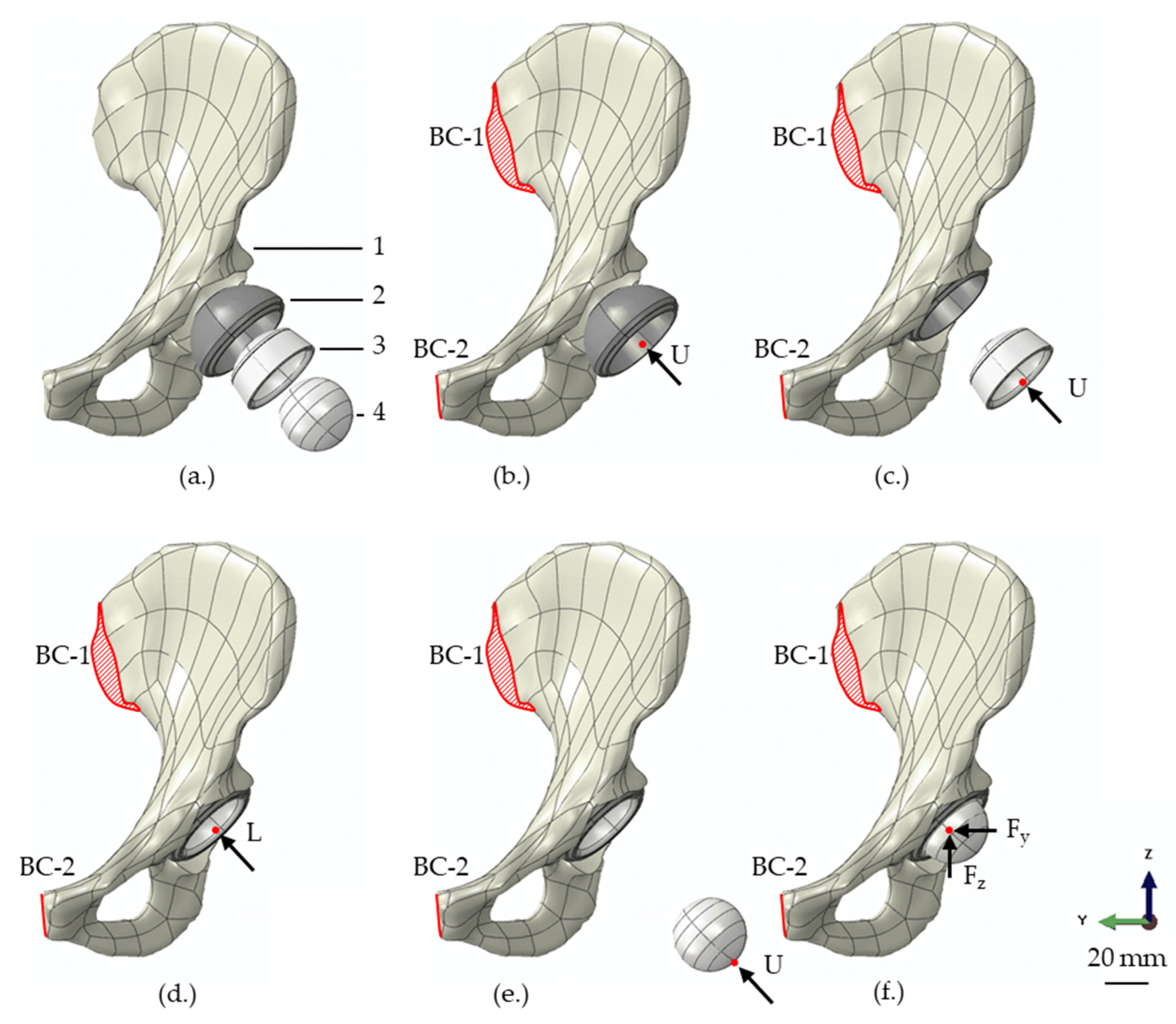 Materials 13 01372 g001 Materials 13 01372 g001