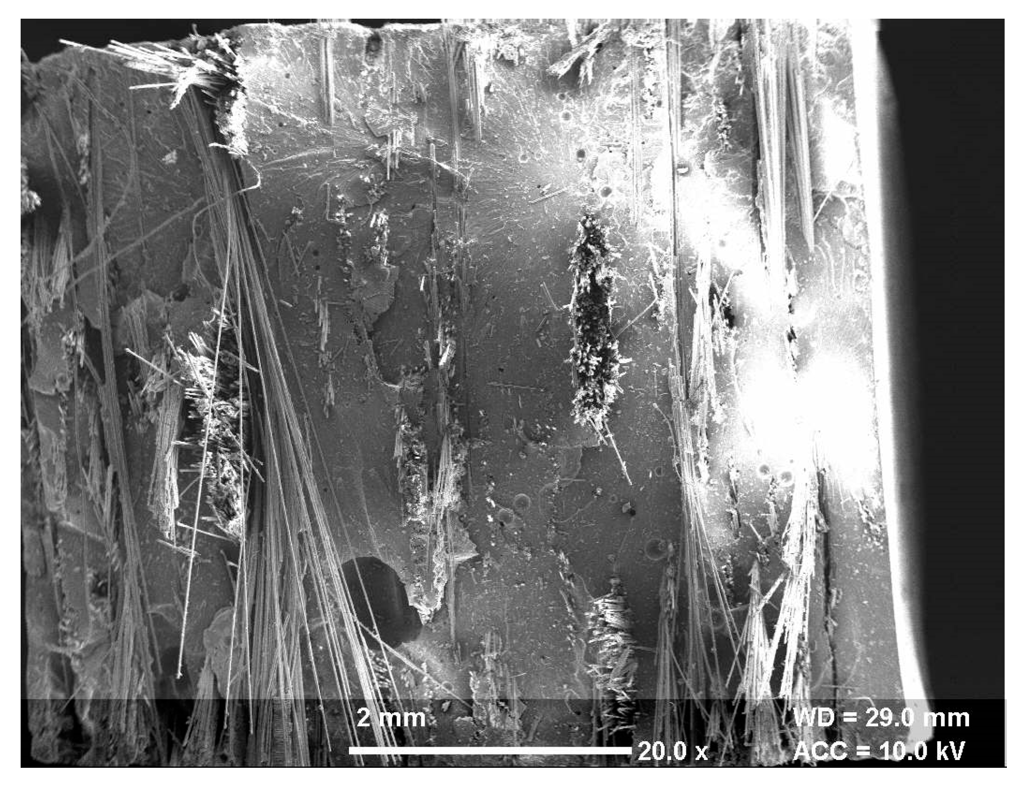 Materials 13 01381 g002 Materials 13 01381 g002