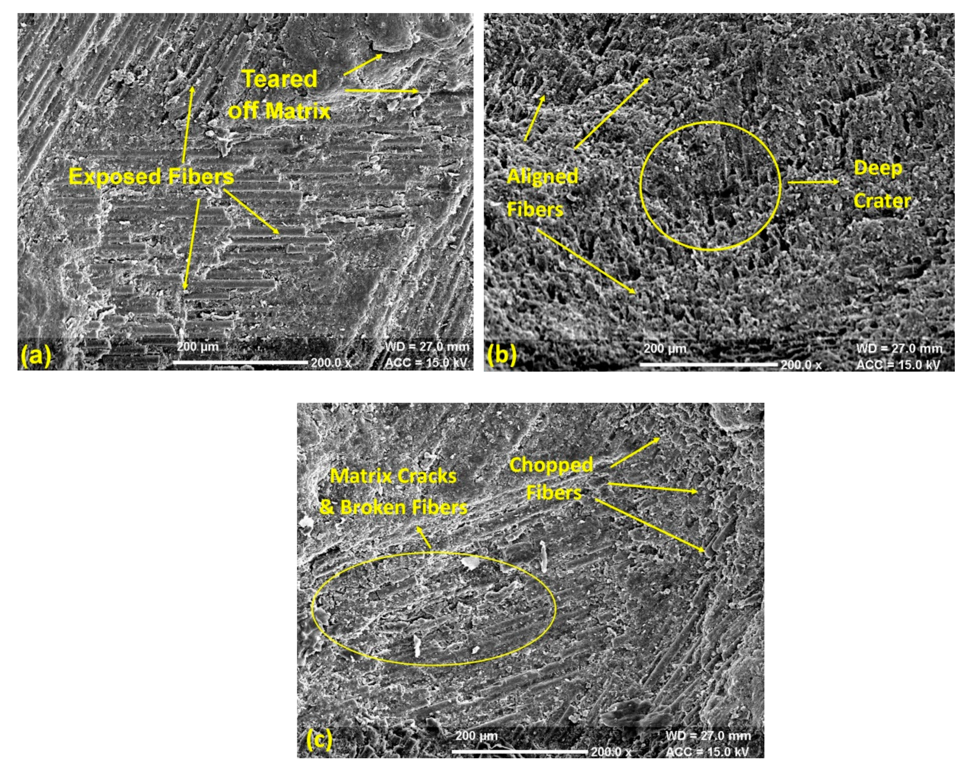 Materials 13 01381 g009 Materials 13 01381 g009