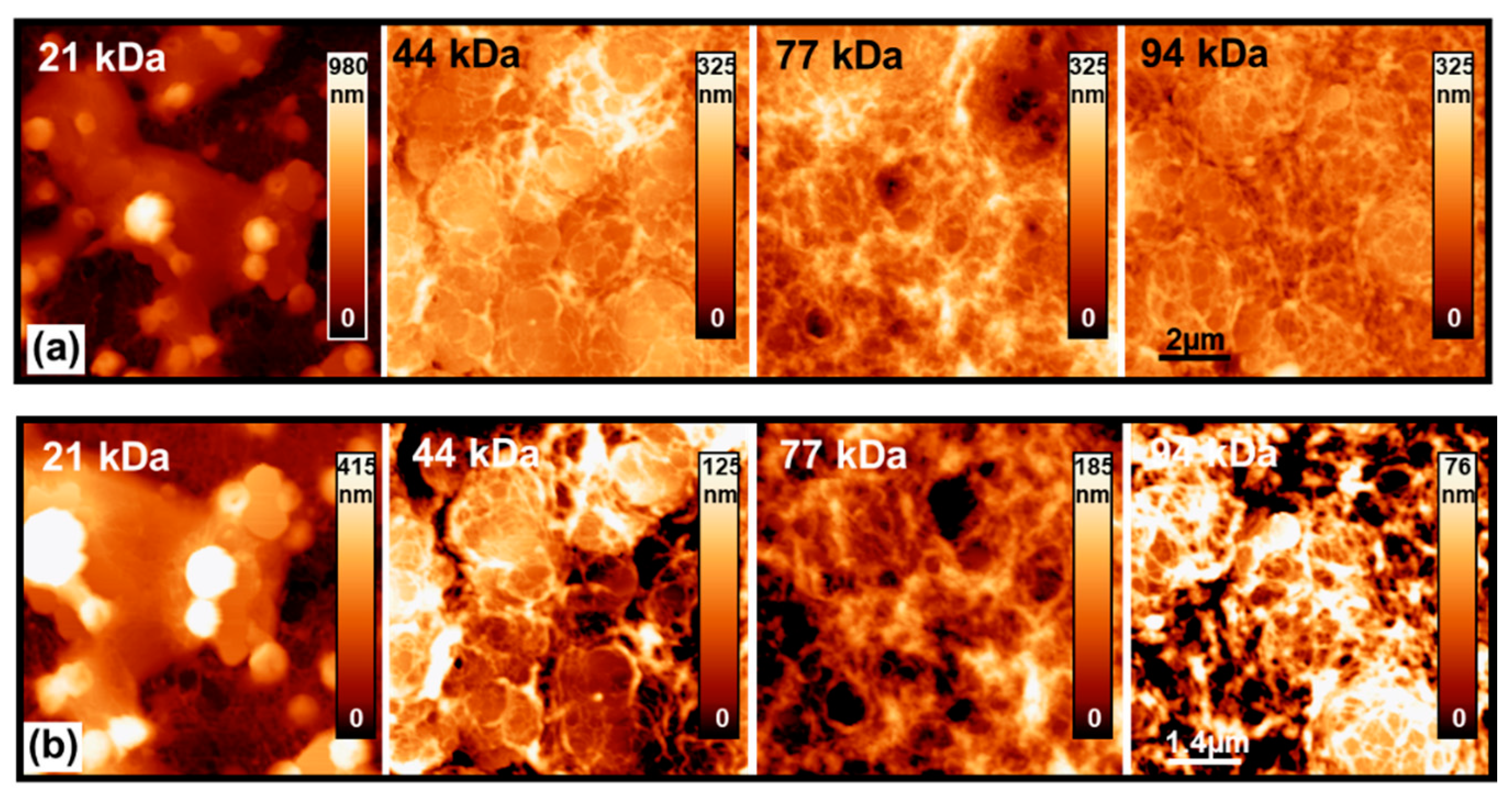 Materials 13 01404 g002