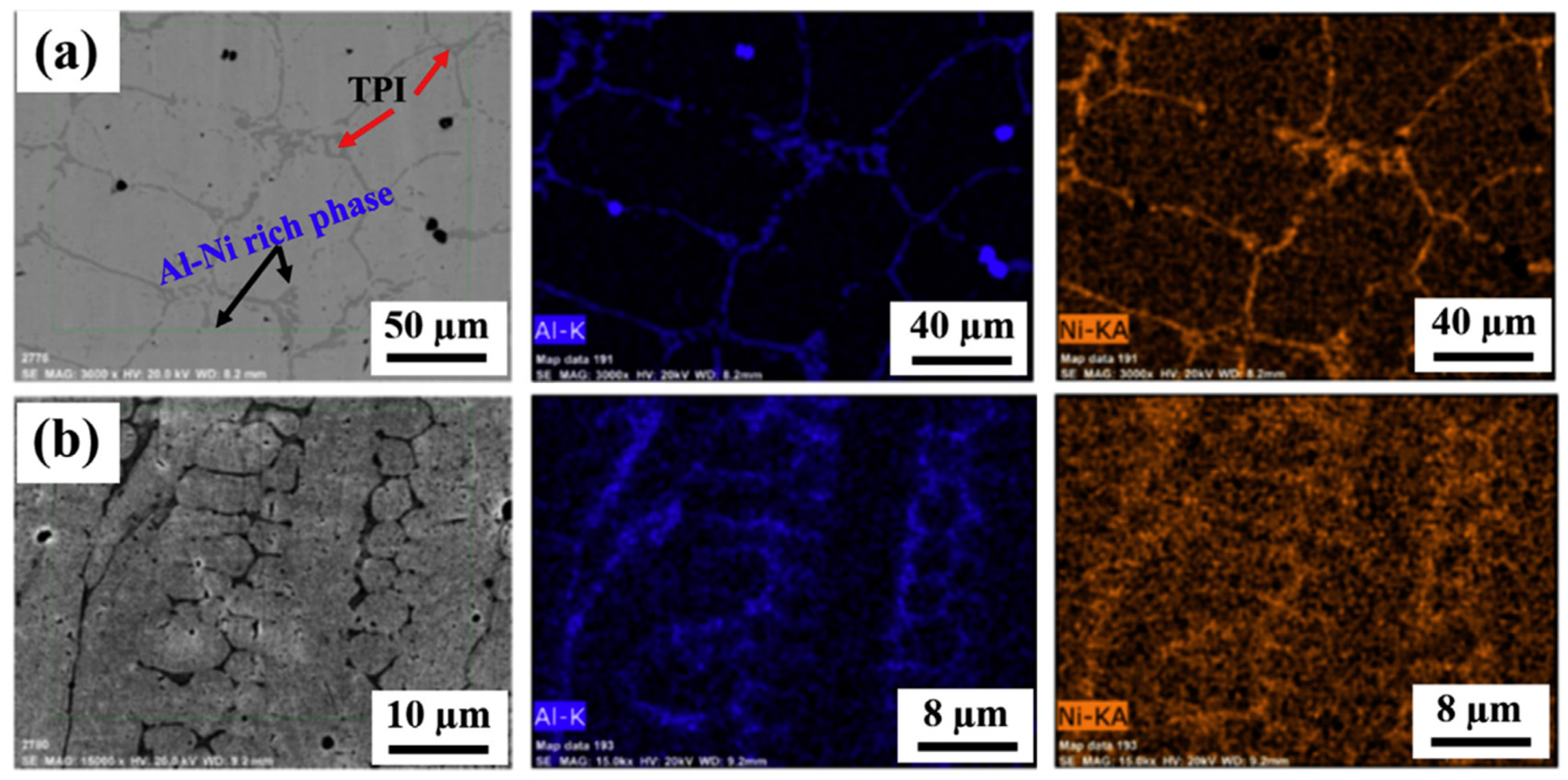 Materials 13 01411 g003