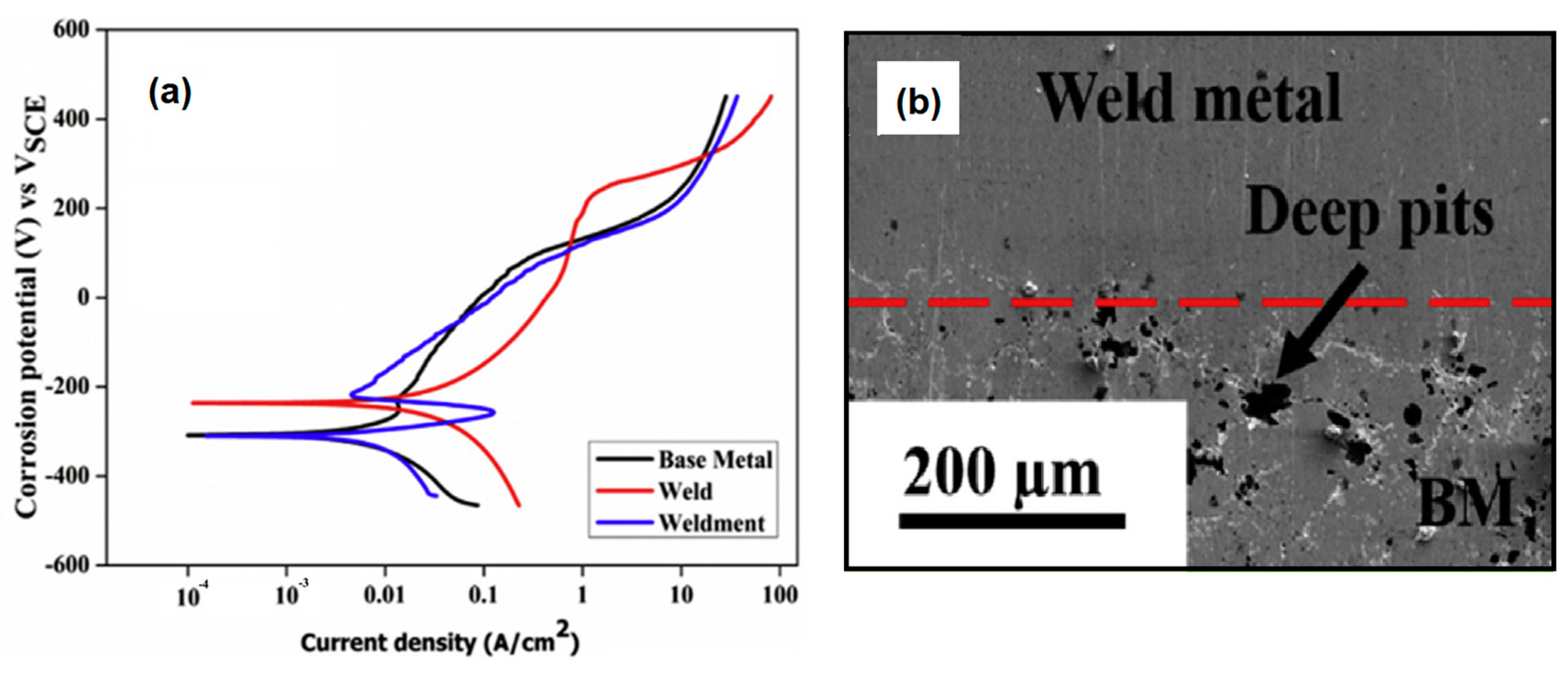 Materials 13 01411 g006