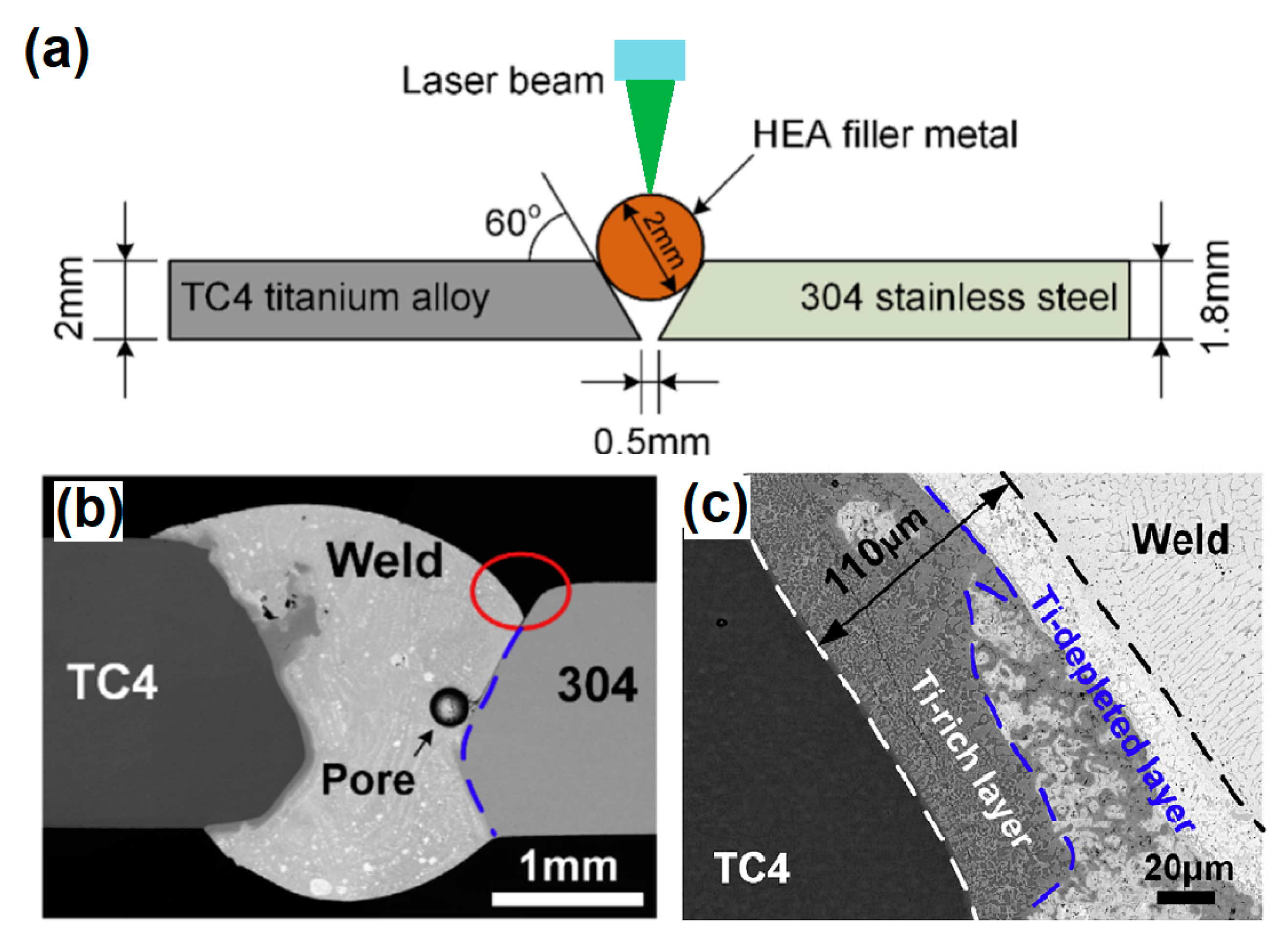 Materials 13 01411 g010