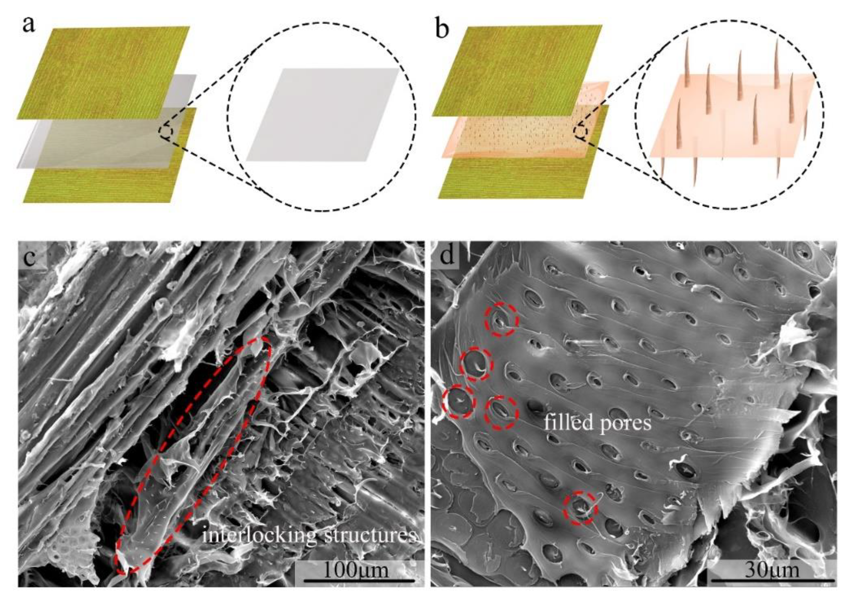 Materials 13 01412 g006 Materials 13 01412 g006