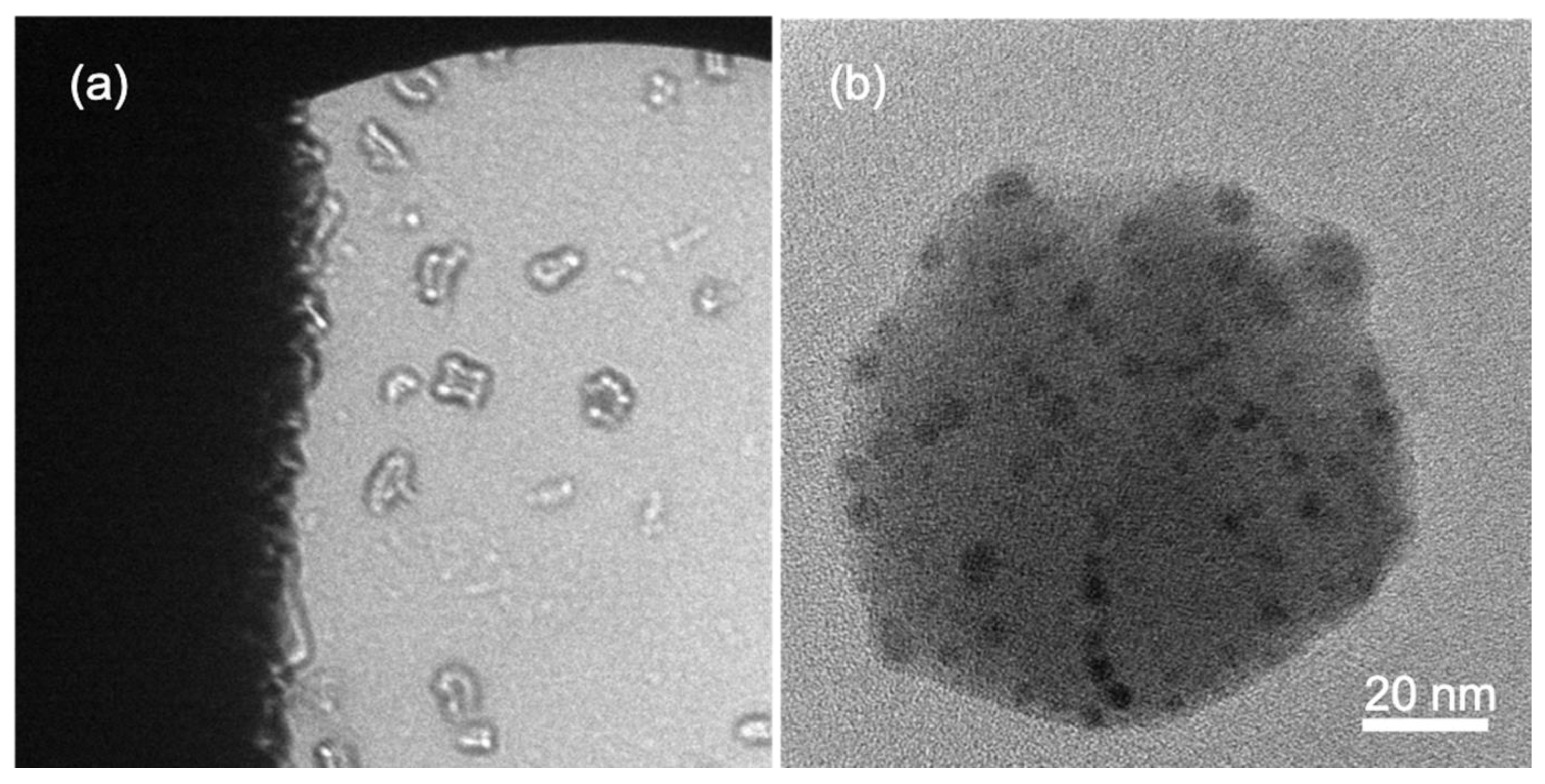 Materials 13 01413 g010 Materials 13 01413 g010