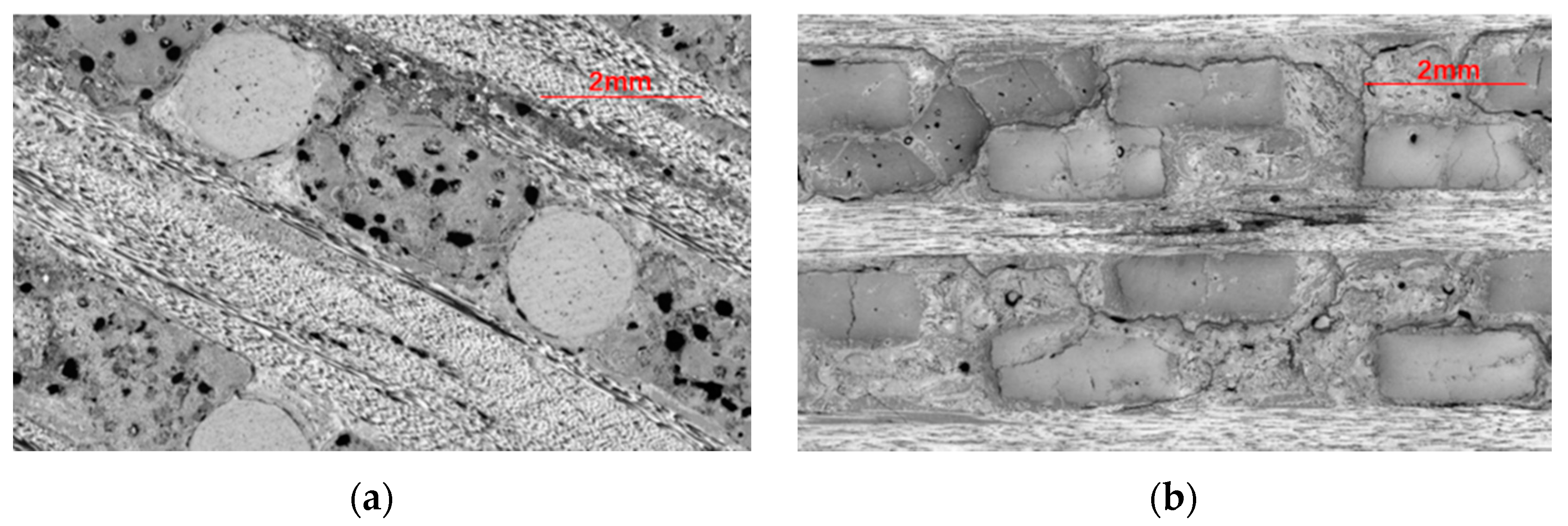 Materials 13 01414 g005a