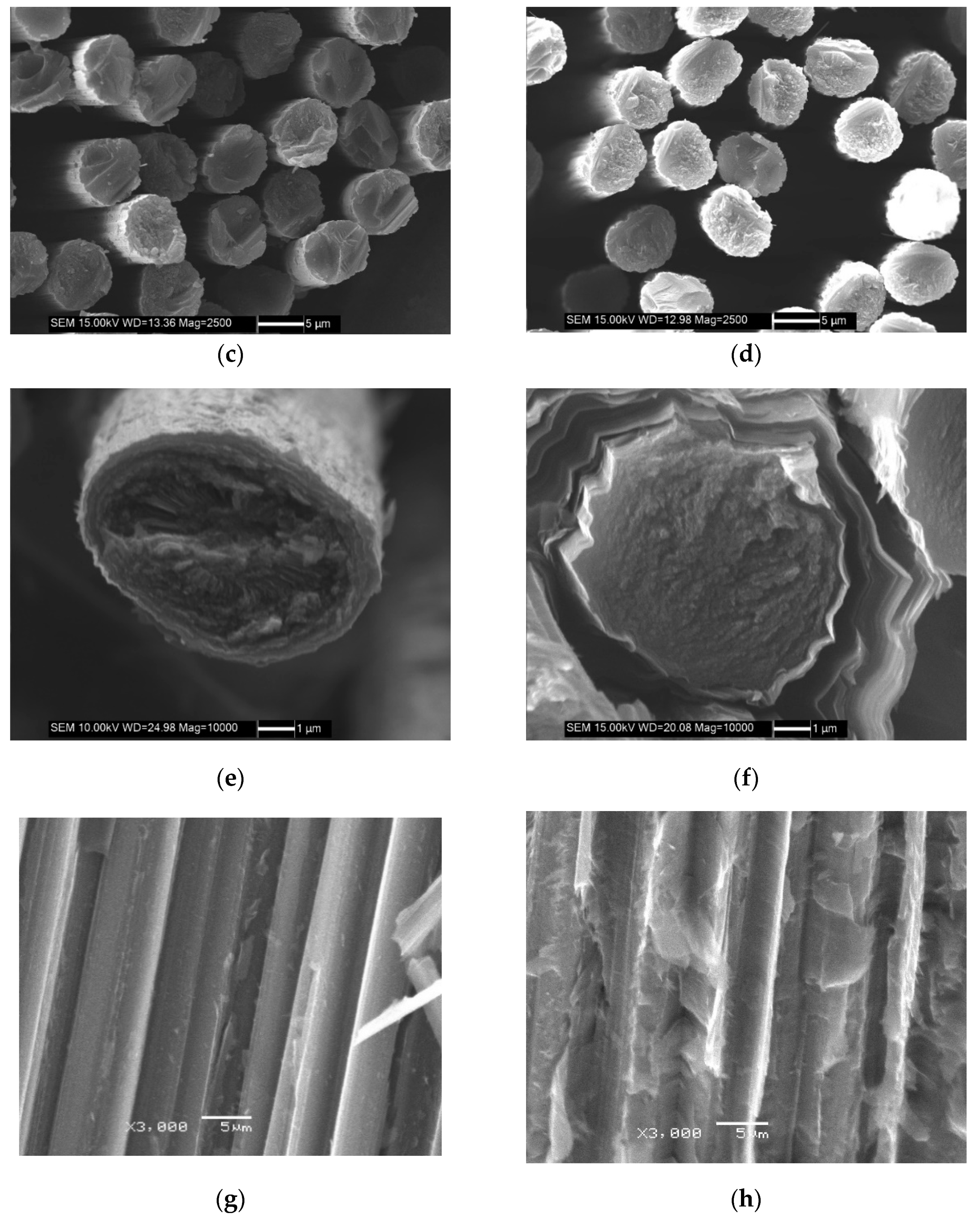 Materials 13 01414 g005b