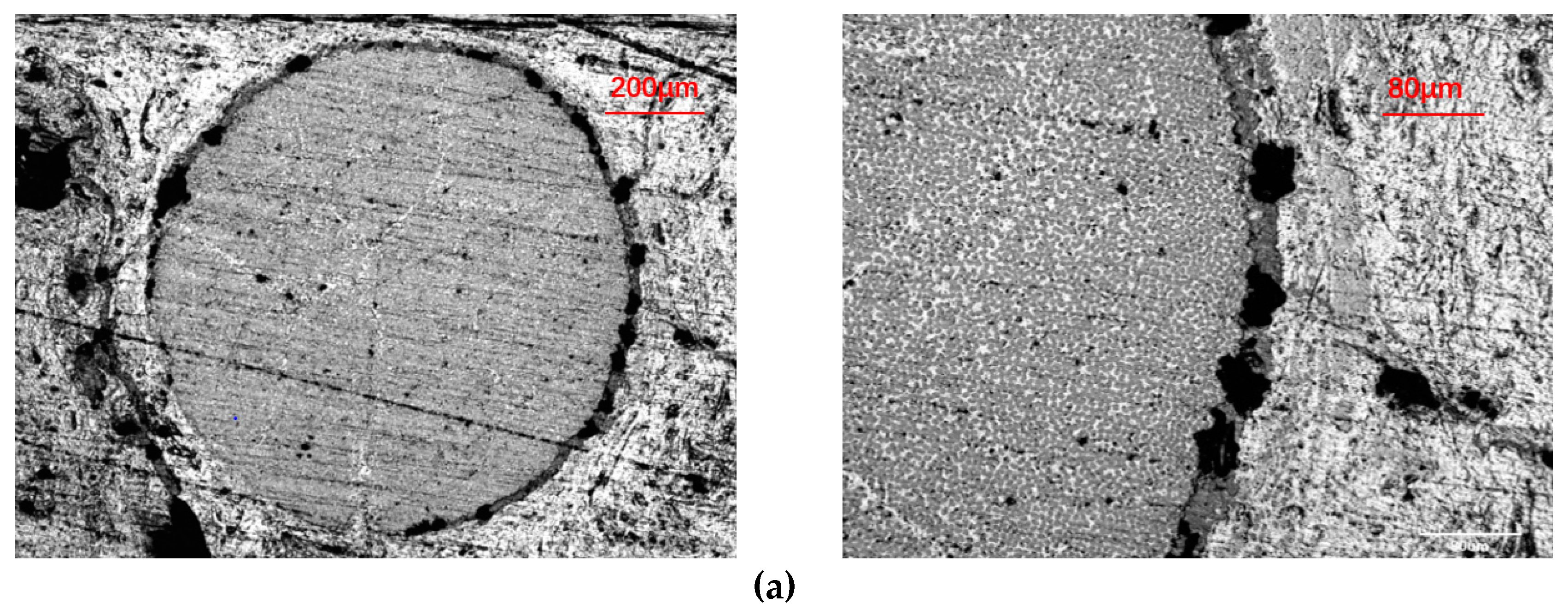 Materials 13 01414 g010a
