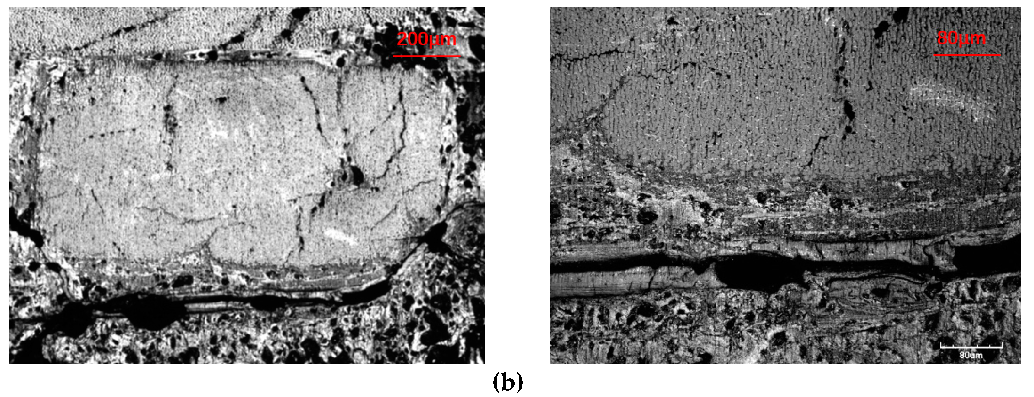 Materials 13 01414 g010b