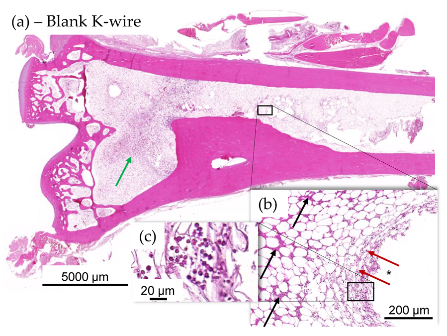 Materials 13 01415 g008 Materials 13 01415 g008