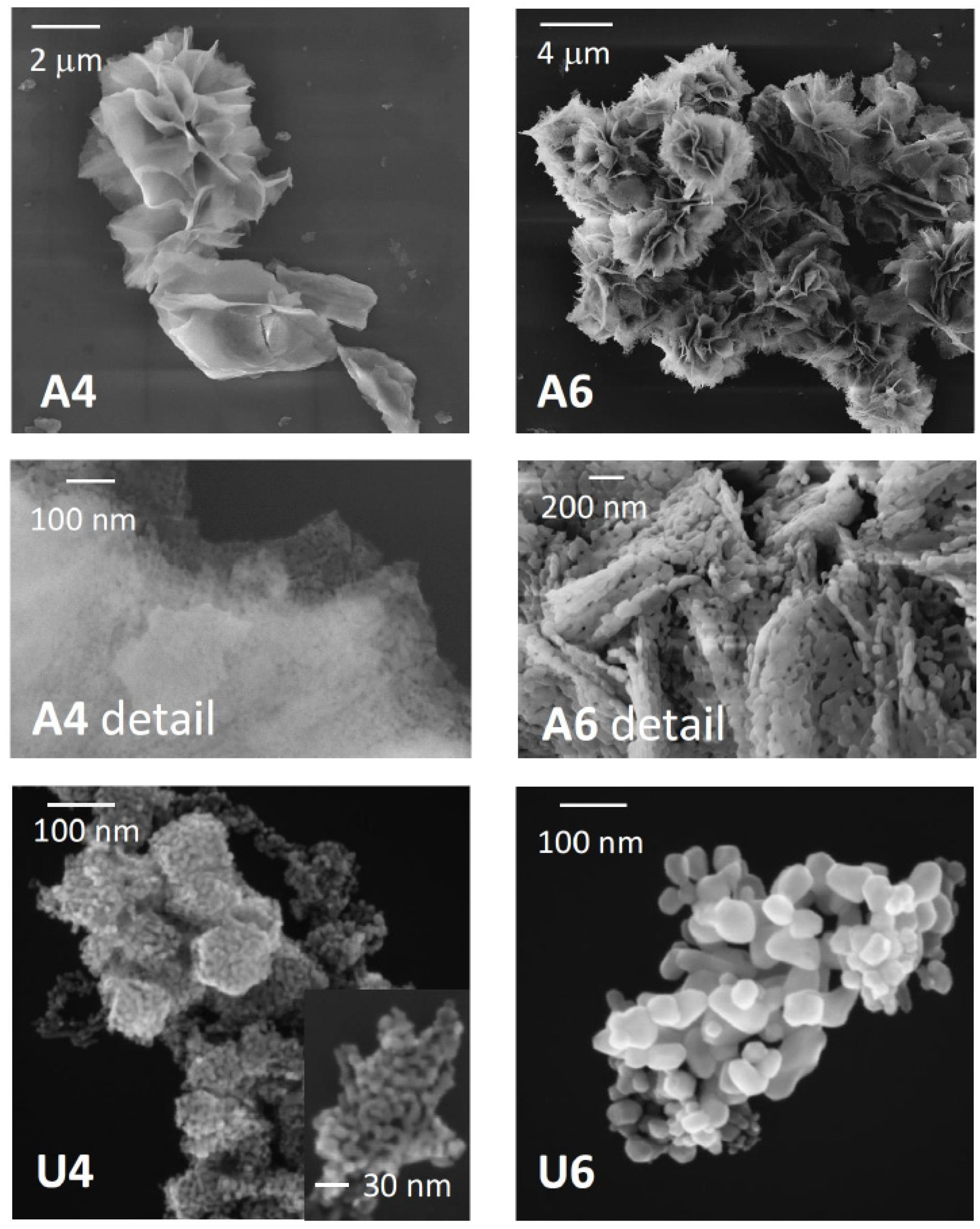 Materials 13 01417 g002 Materials 13 01417 g002