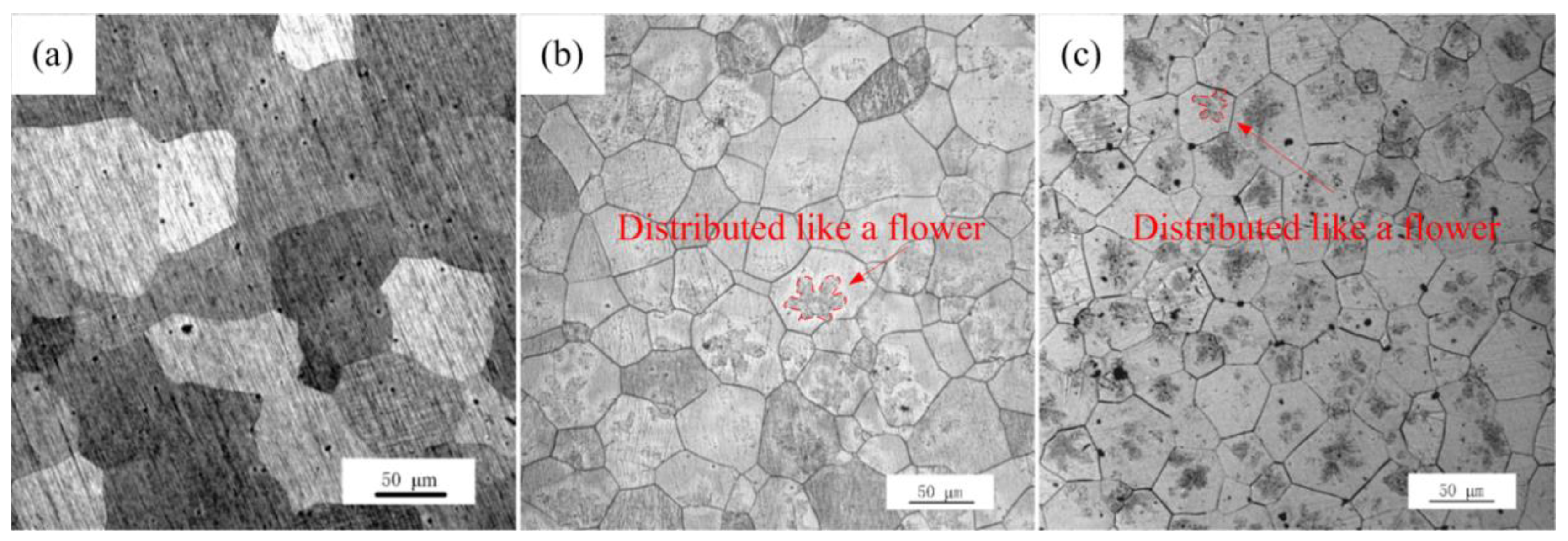 Materials 13 01421 g004 Materials 13 01421 g004