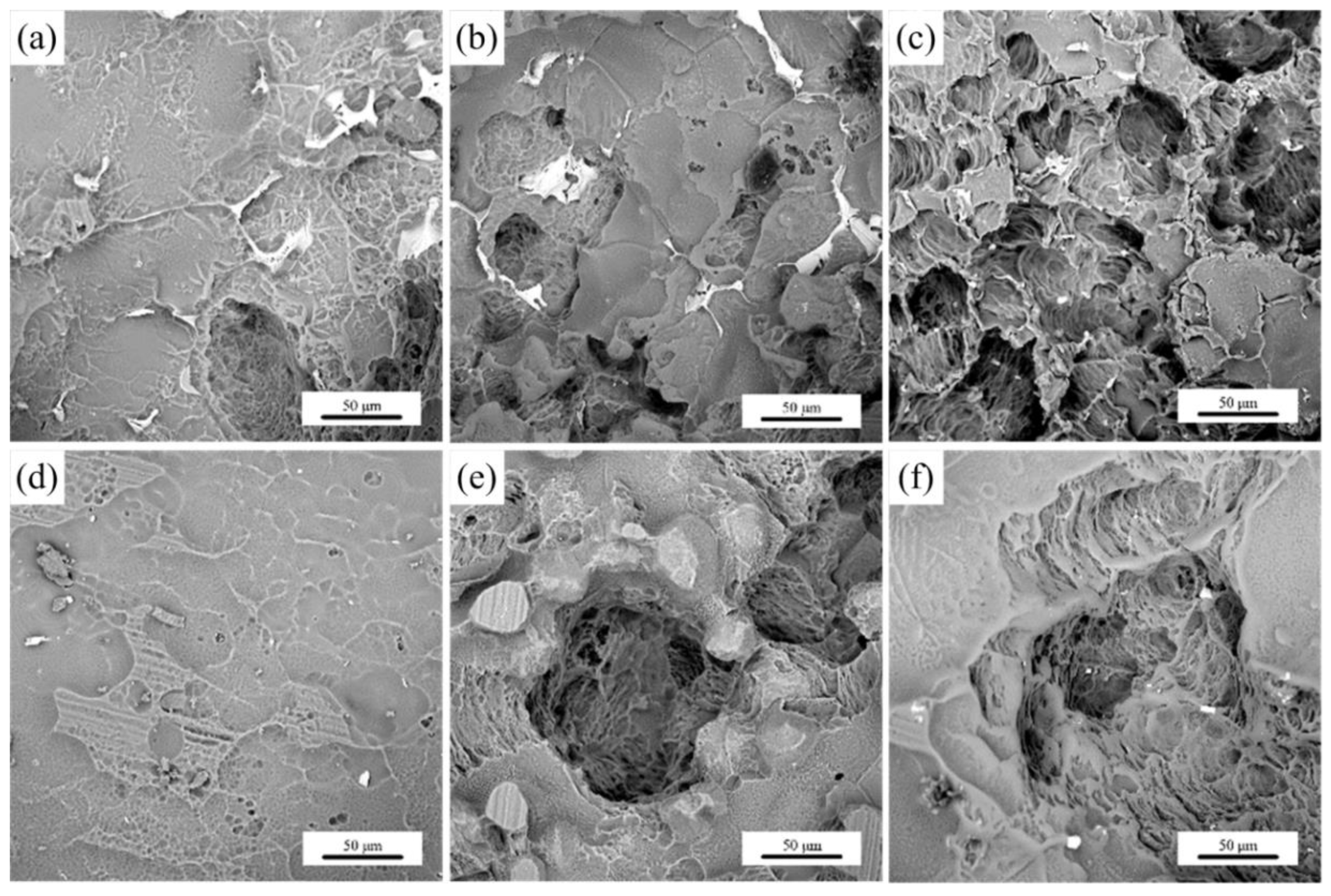 Materials 13 01421 g009 Materials 13 01421 g009