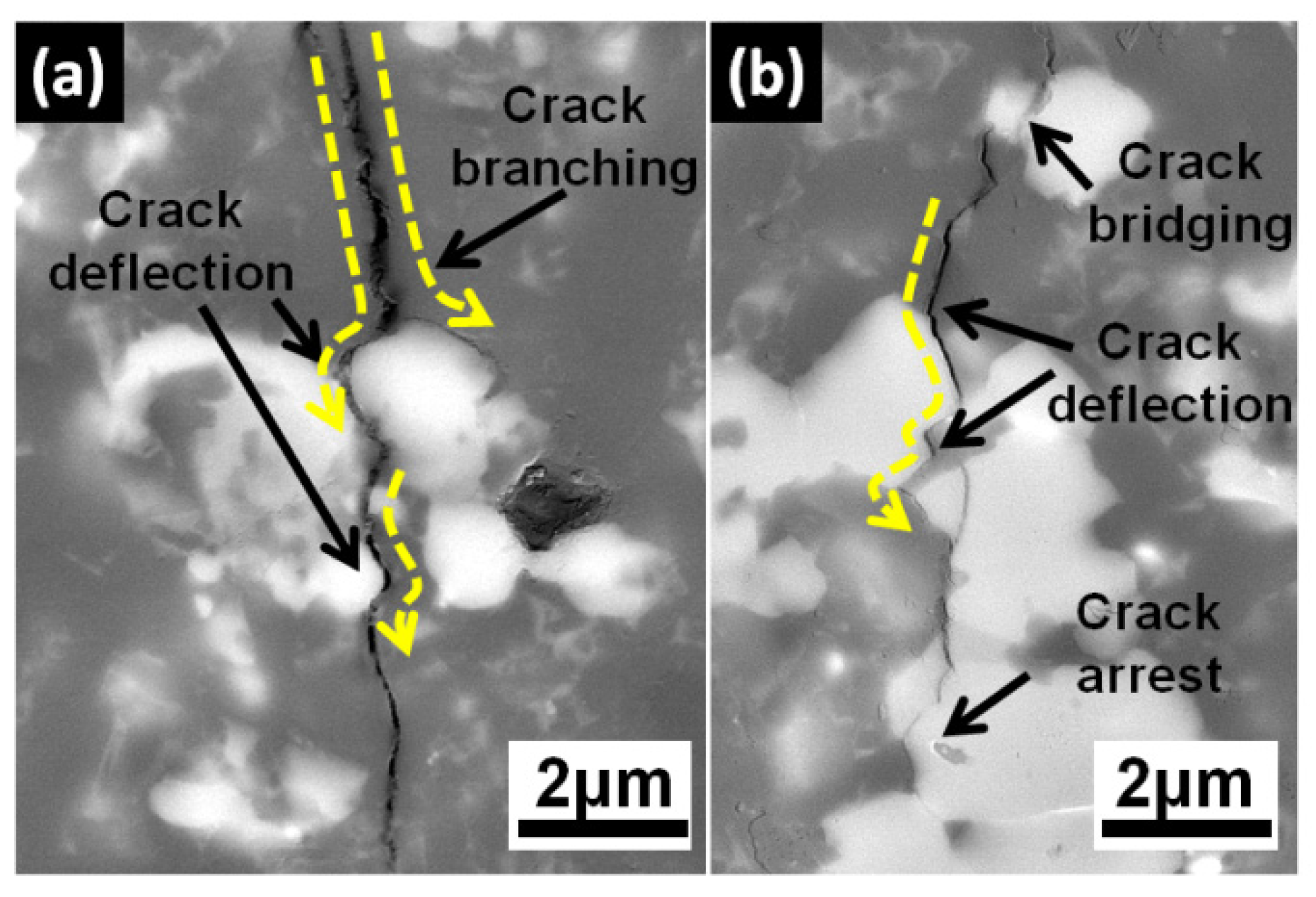 Materials 13 01428 g007 Materials 13 01428 g007