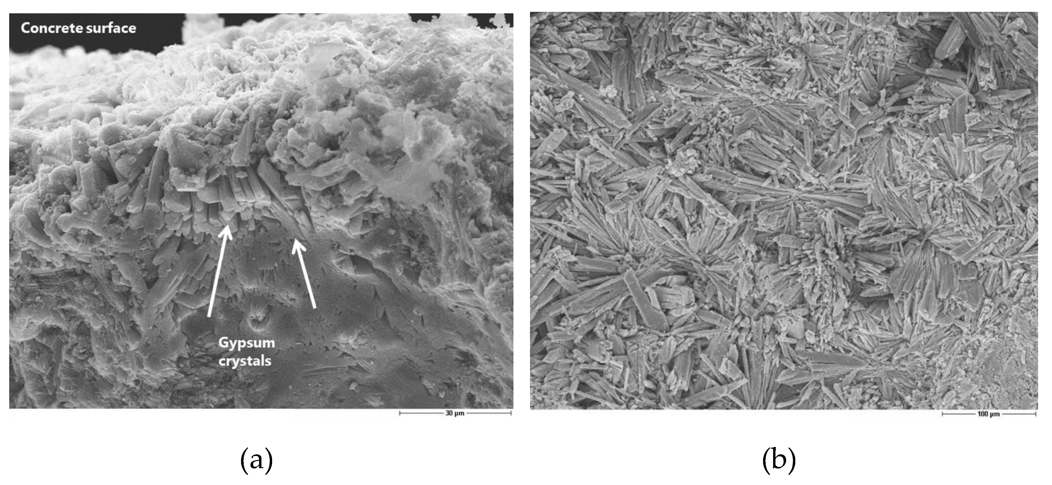 Materials 13 01431 g007 550