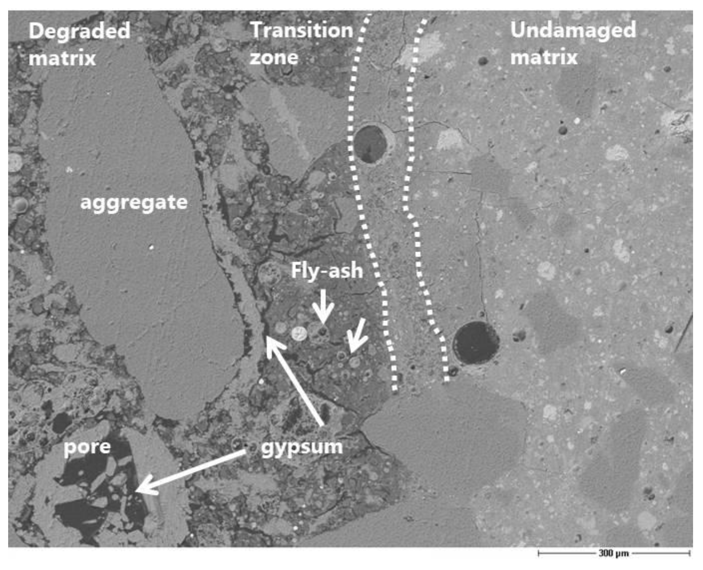 Materials 13 01431 g010 550