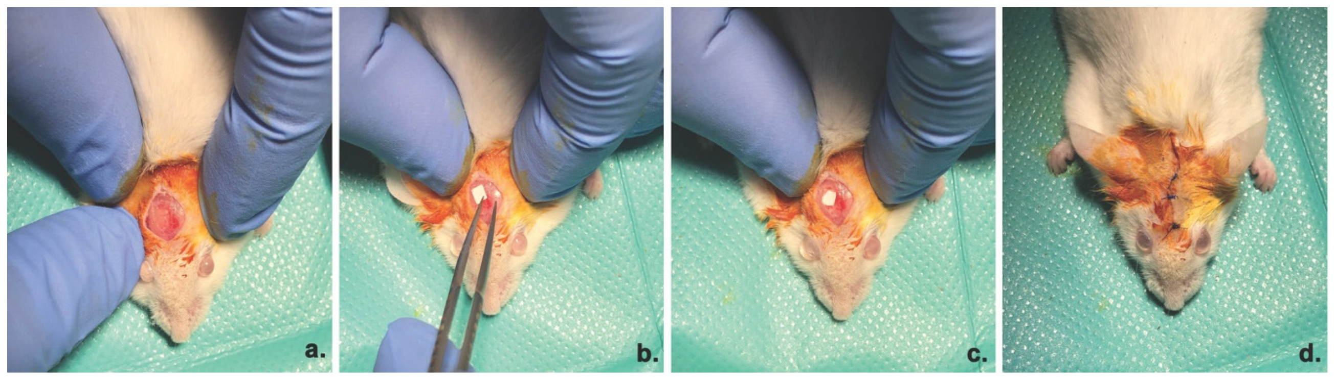 Materials 13 01433 g001 Materials 13 01433 g001