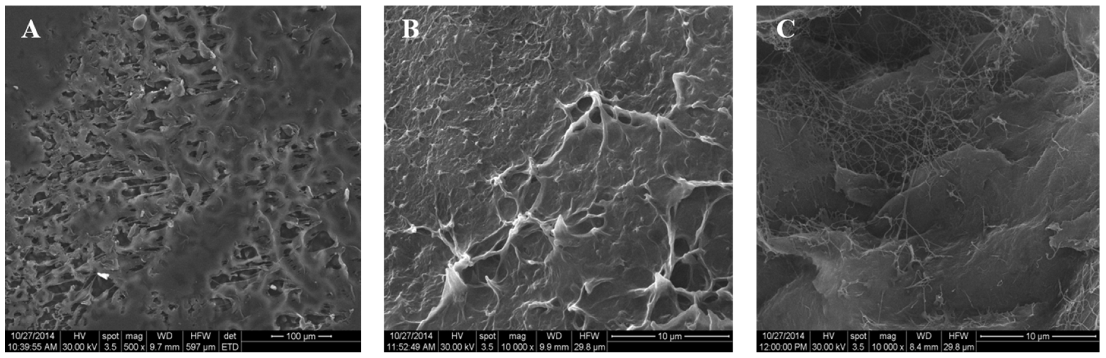 Materials 13 01433 g002 Materials 13 01433 g002