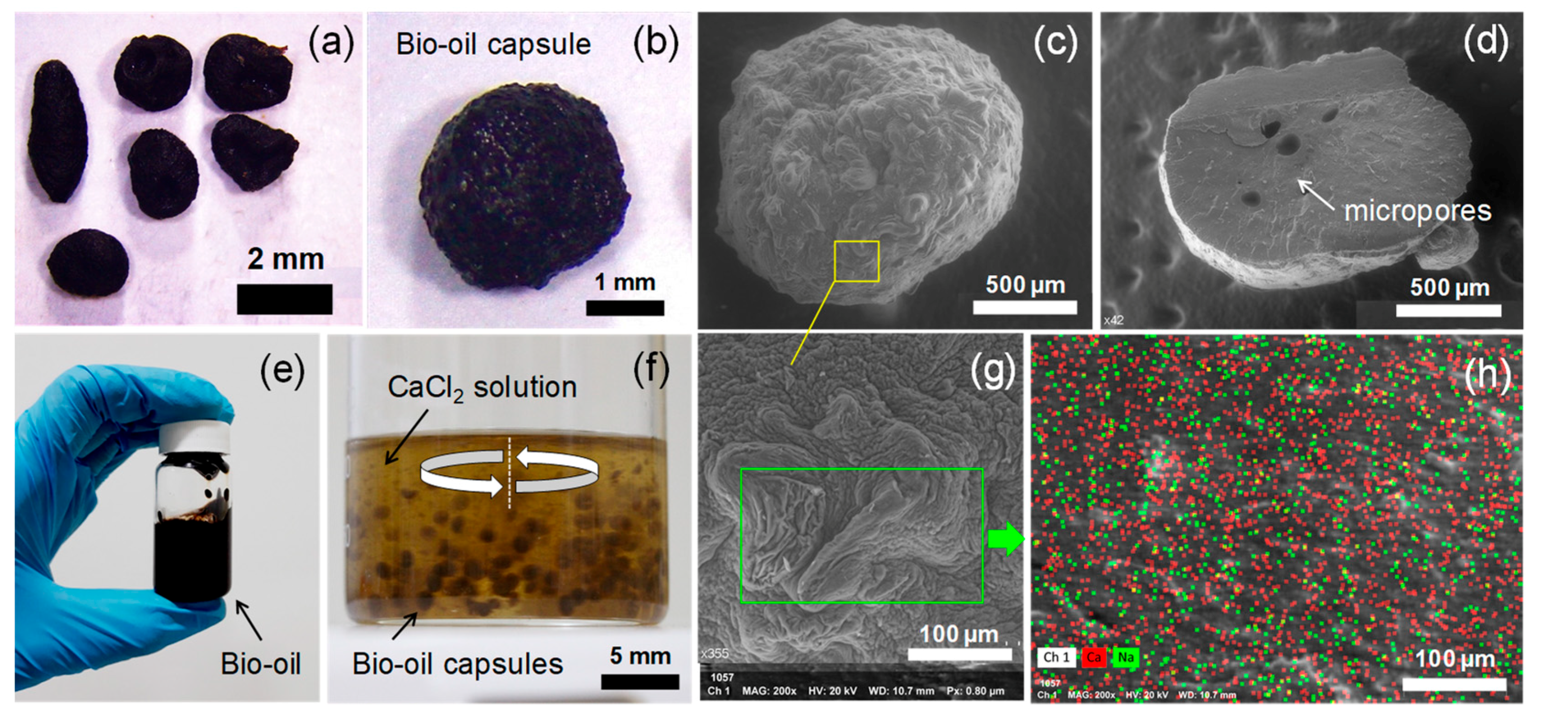 Materials 13 01446 g004