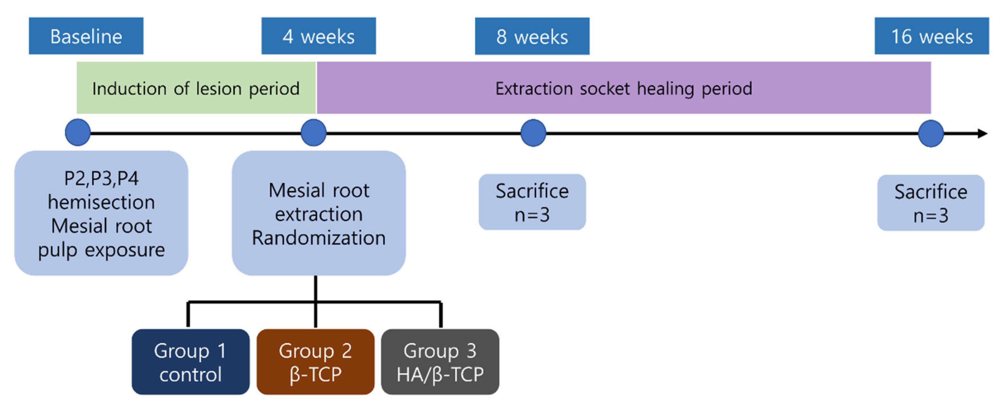 Materials 13 01452 g001