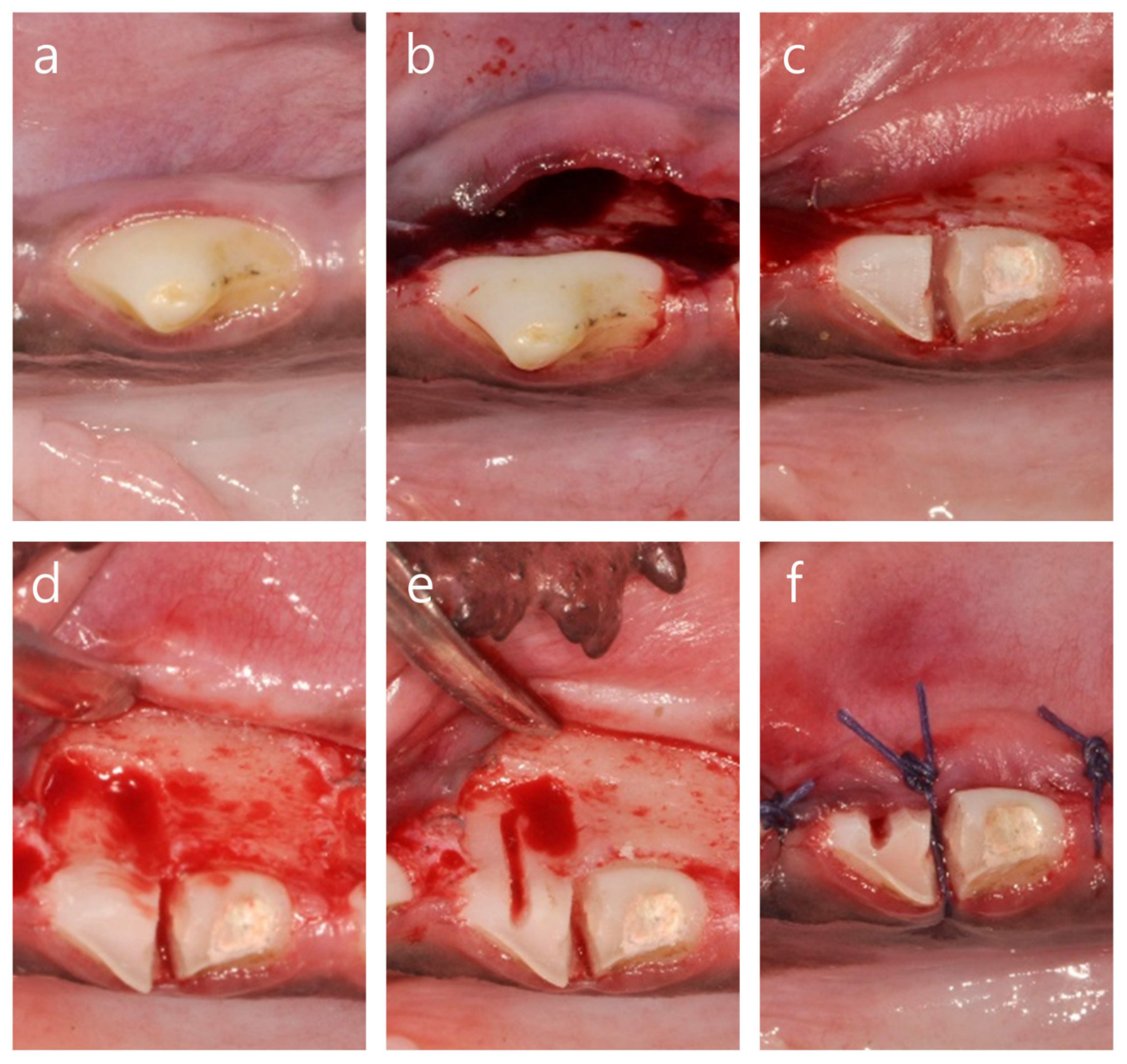 Materials 13 01452 g002