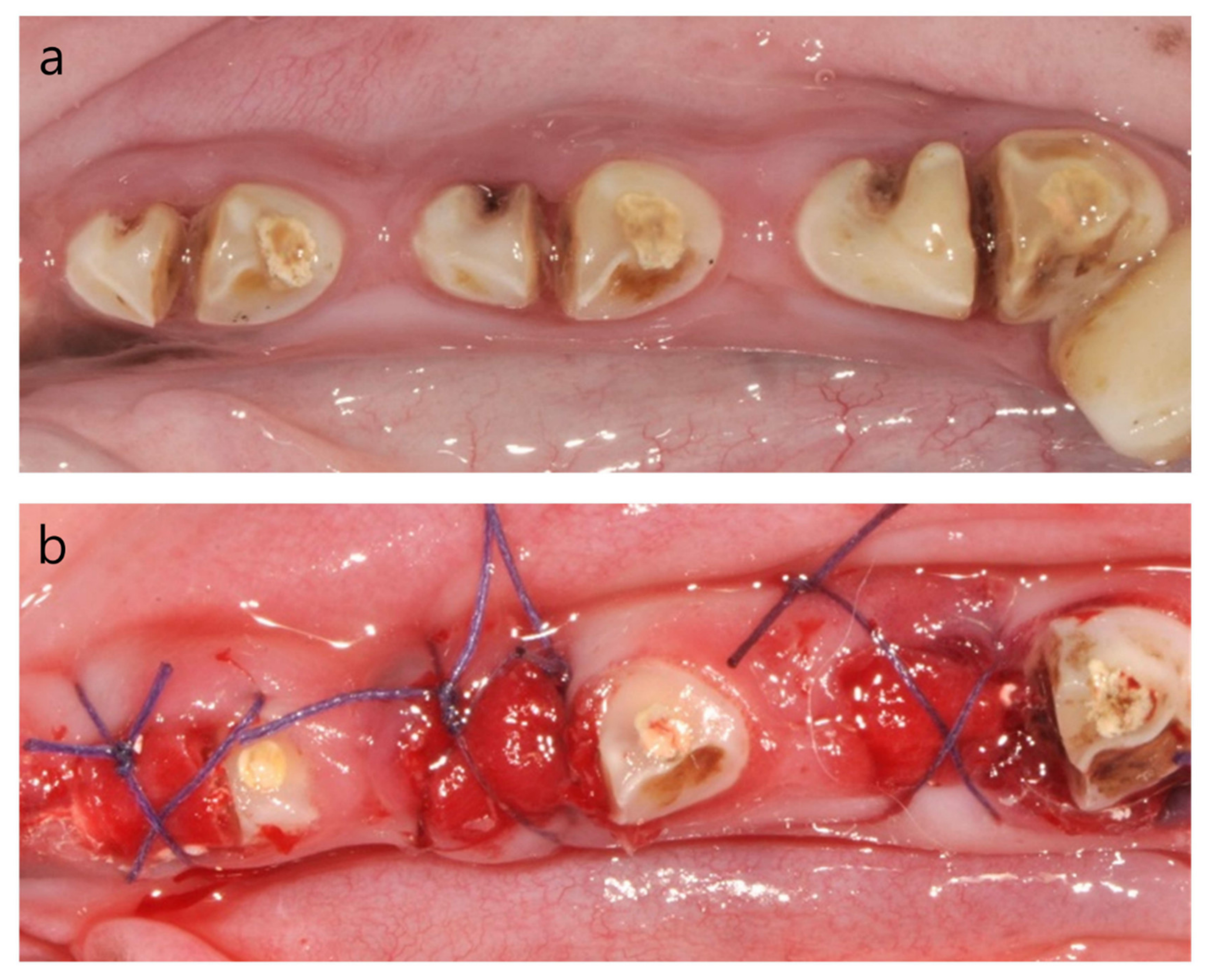 Materials 13 01452 g003