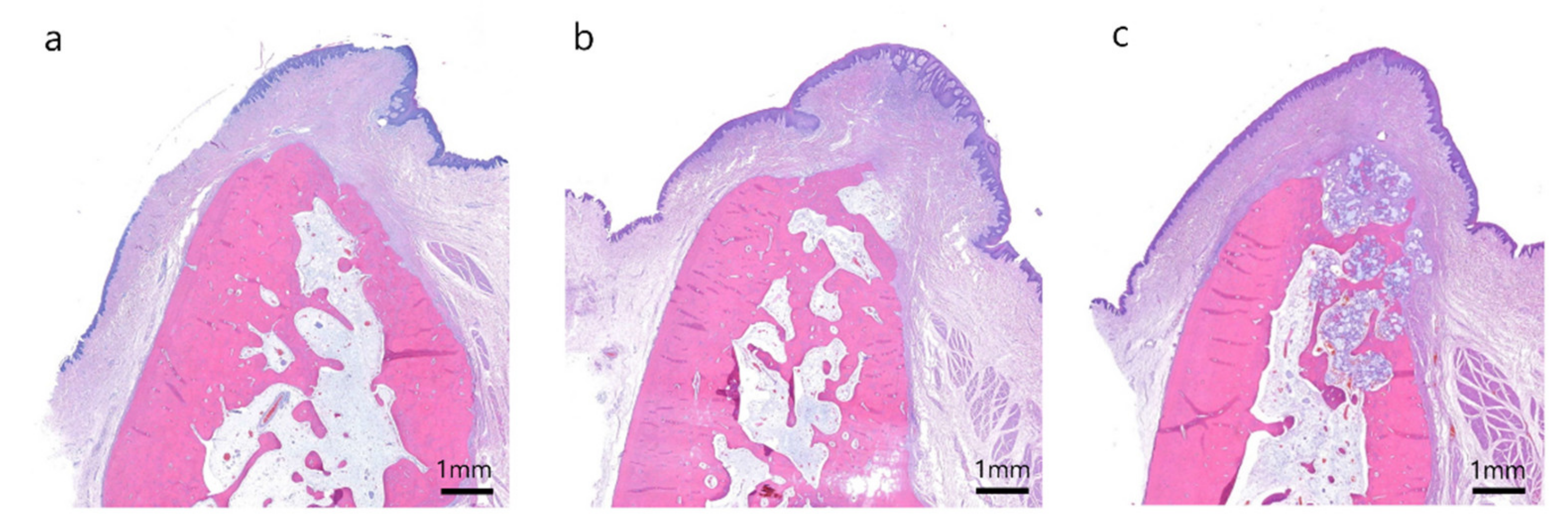 Materials 13 01452 g006
