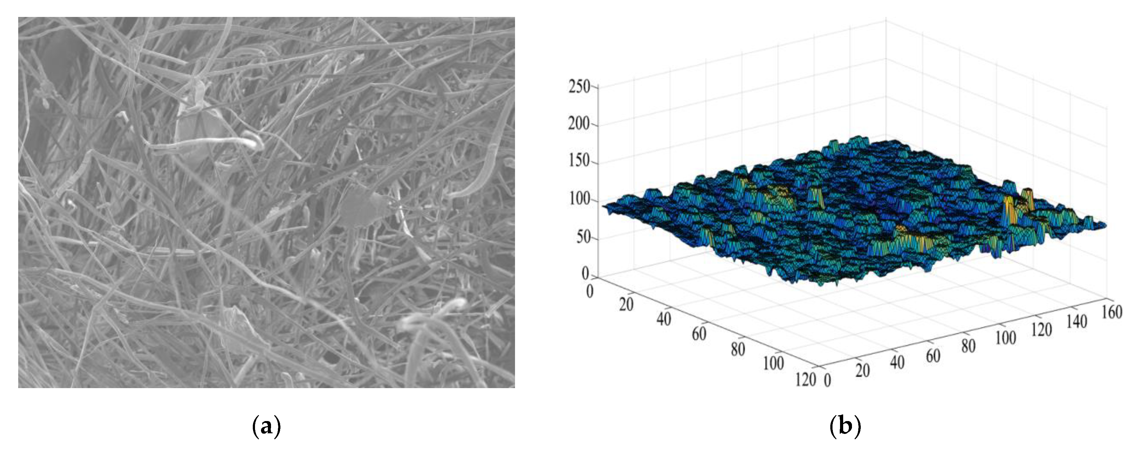 Materials 13 01465 g006a Materials 13 01465 g006a