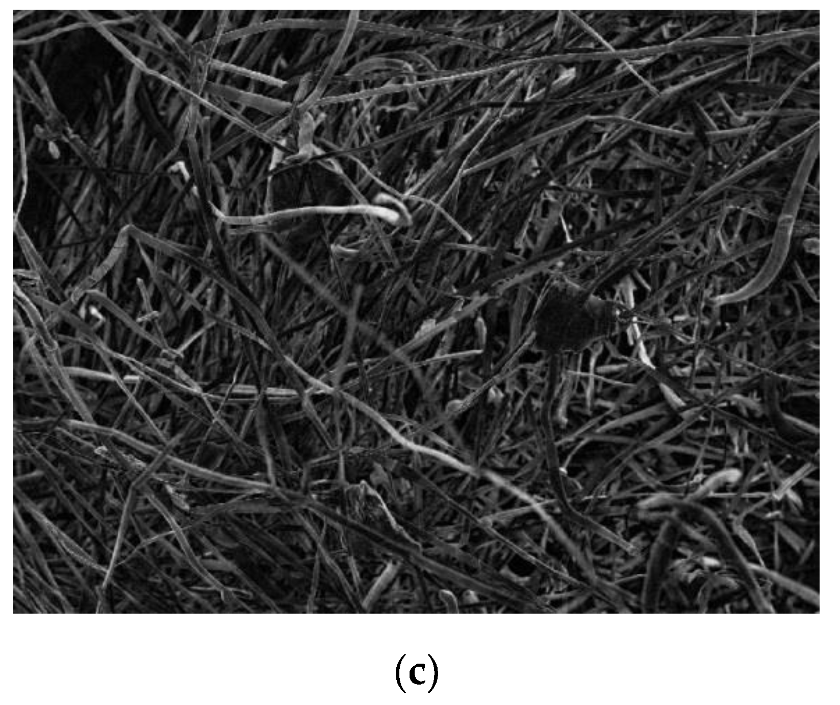 Materials 13 01465 g006b Materials 13 01465 g006b