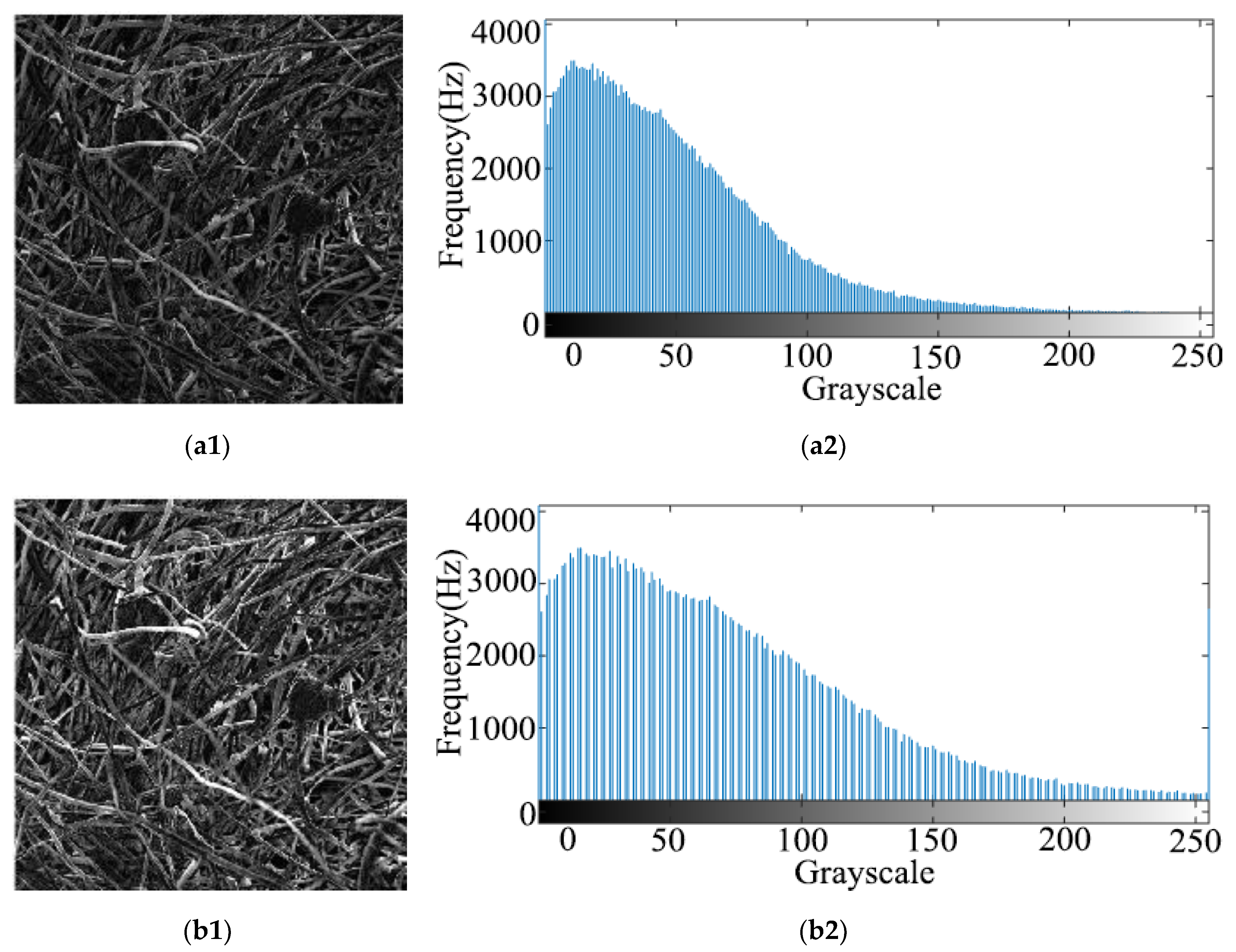 Materials 13 01465 g007 Materials 13 01465 g007