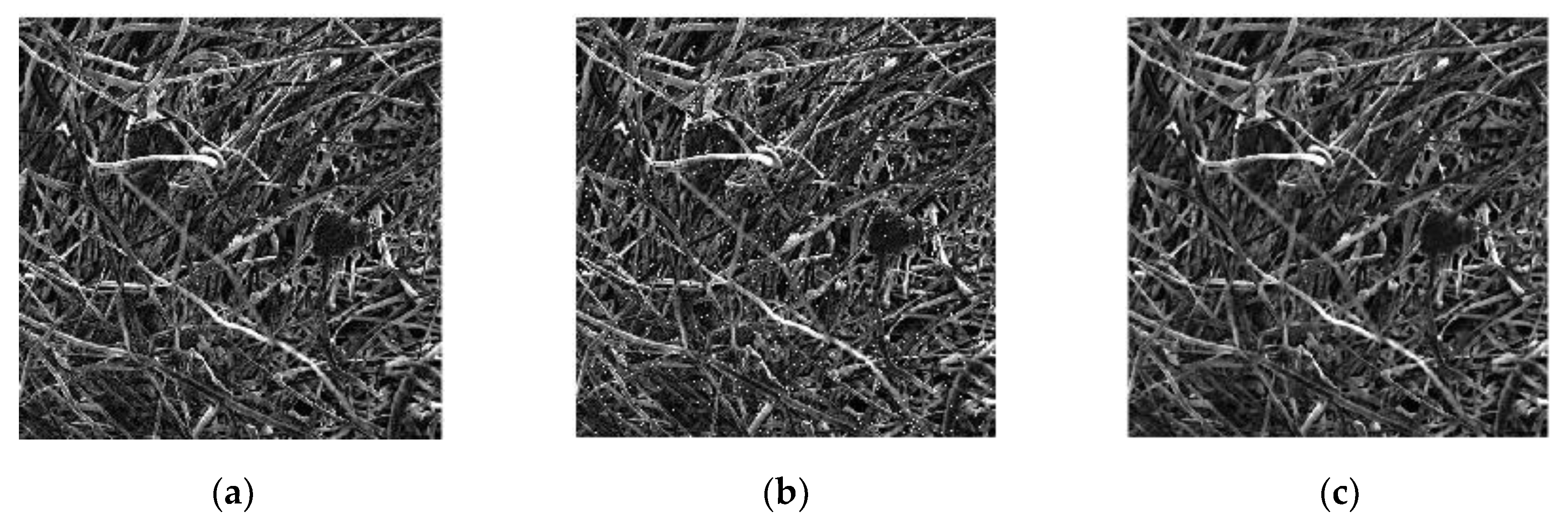 Materials 13 01465 g008 Materials 13 01465 g008