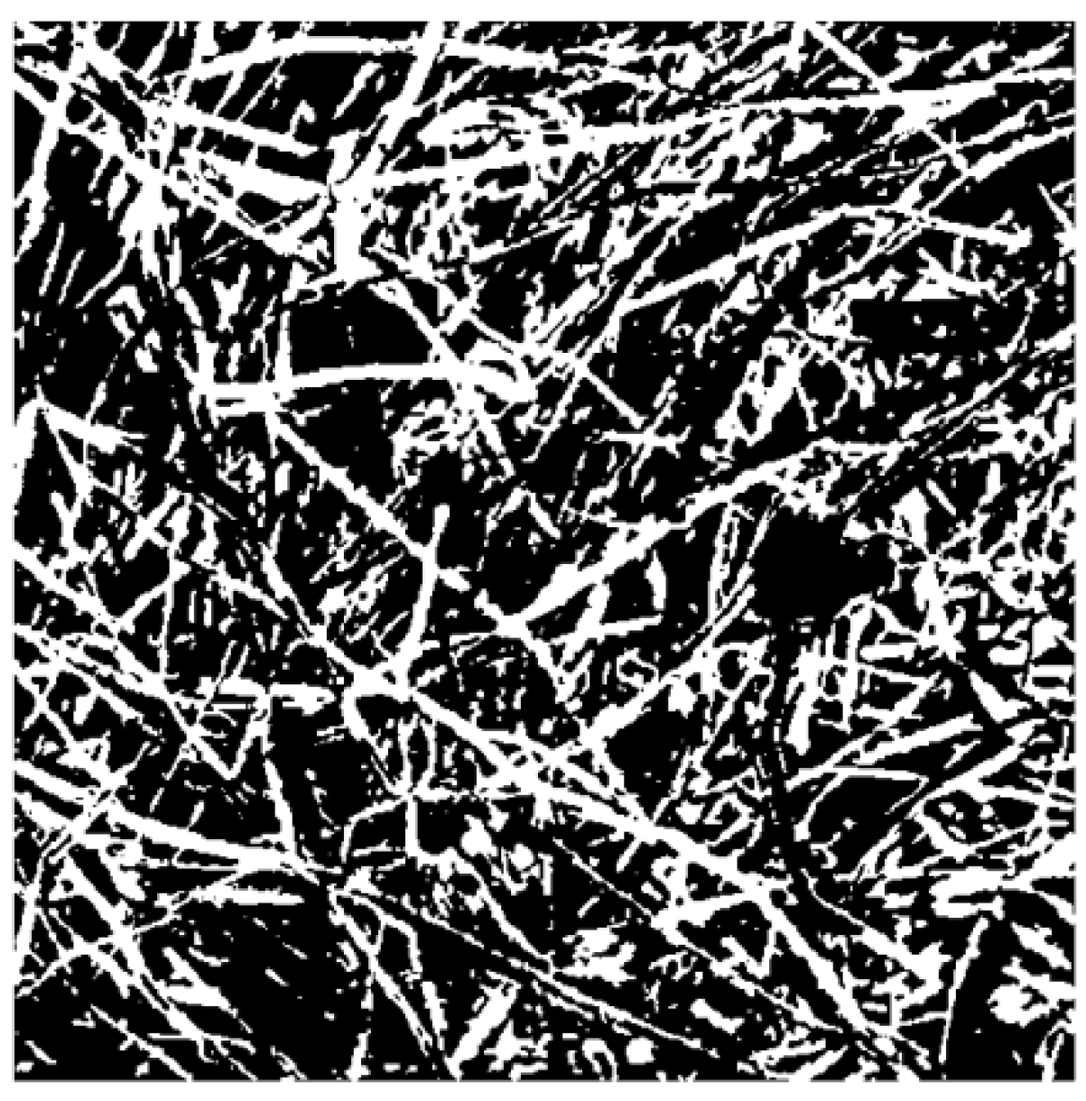 Materials 13 01465 g009 Materials 13 01465 g009