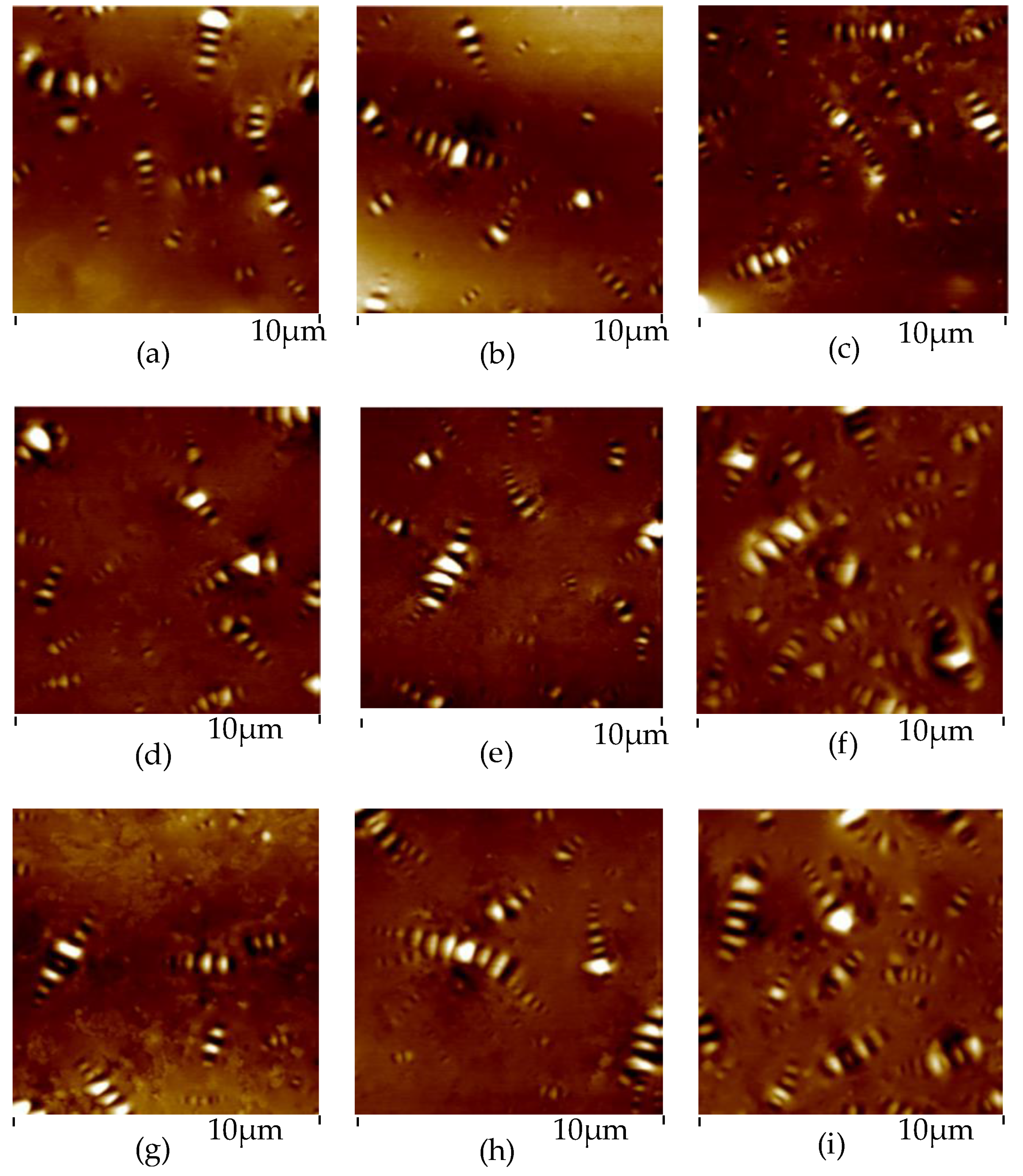 Materials 13 01472 g005 Materials 13 01472 g005