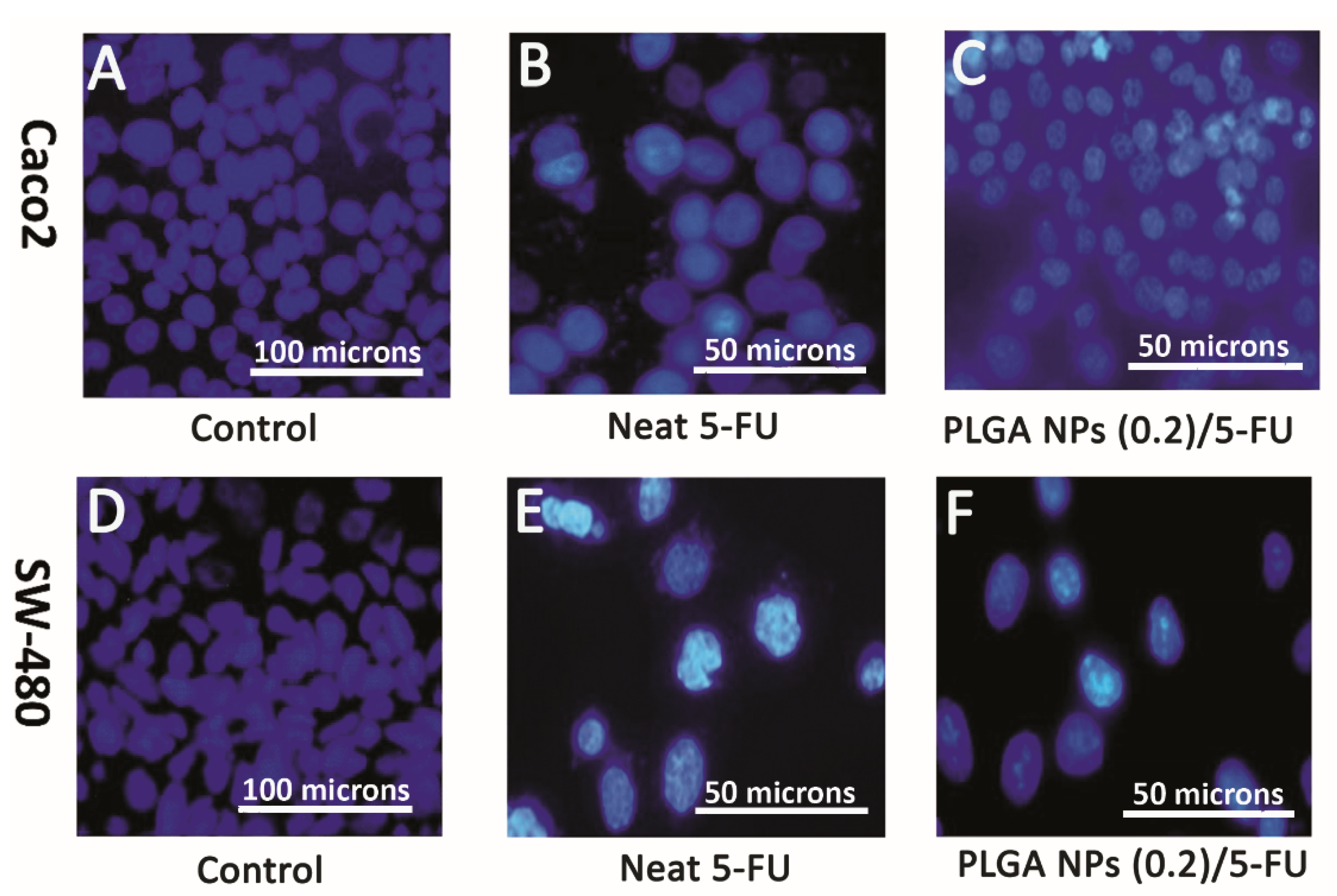 Materials 13 01483 g008