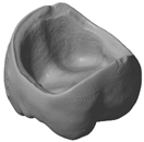 Materials 13 01492 i008 Materials 13 01492 i008