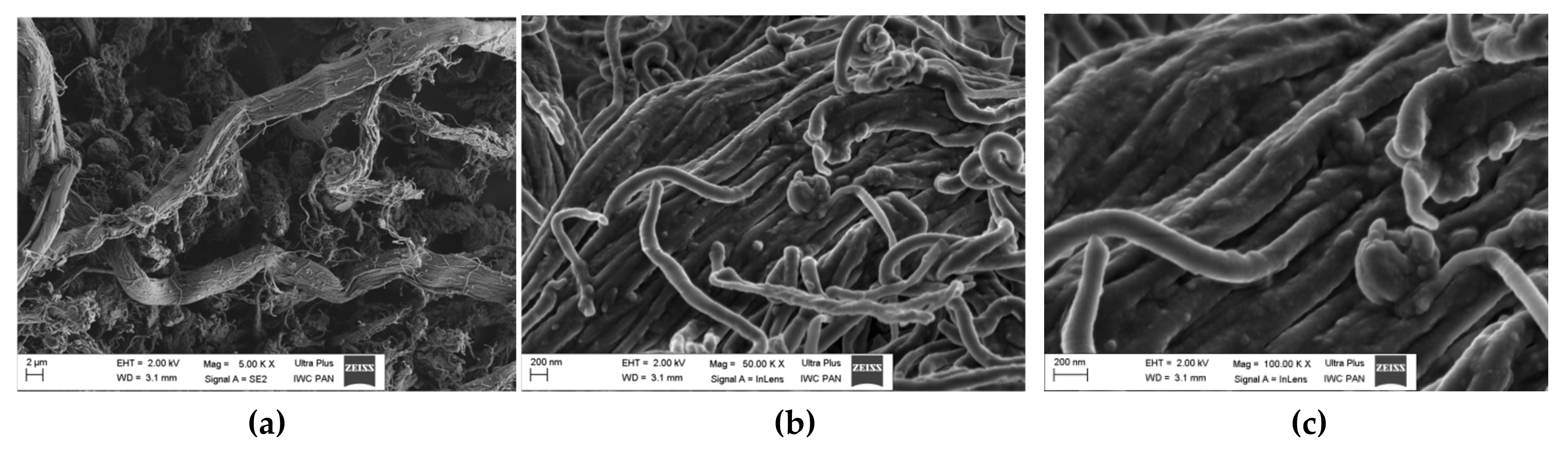 Materials 13 01498 g002