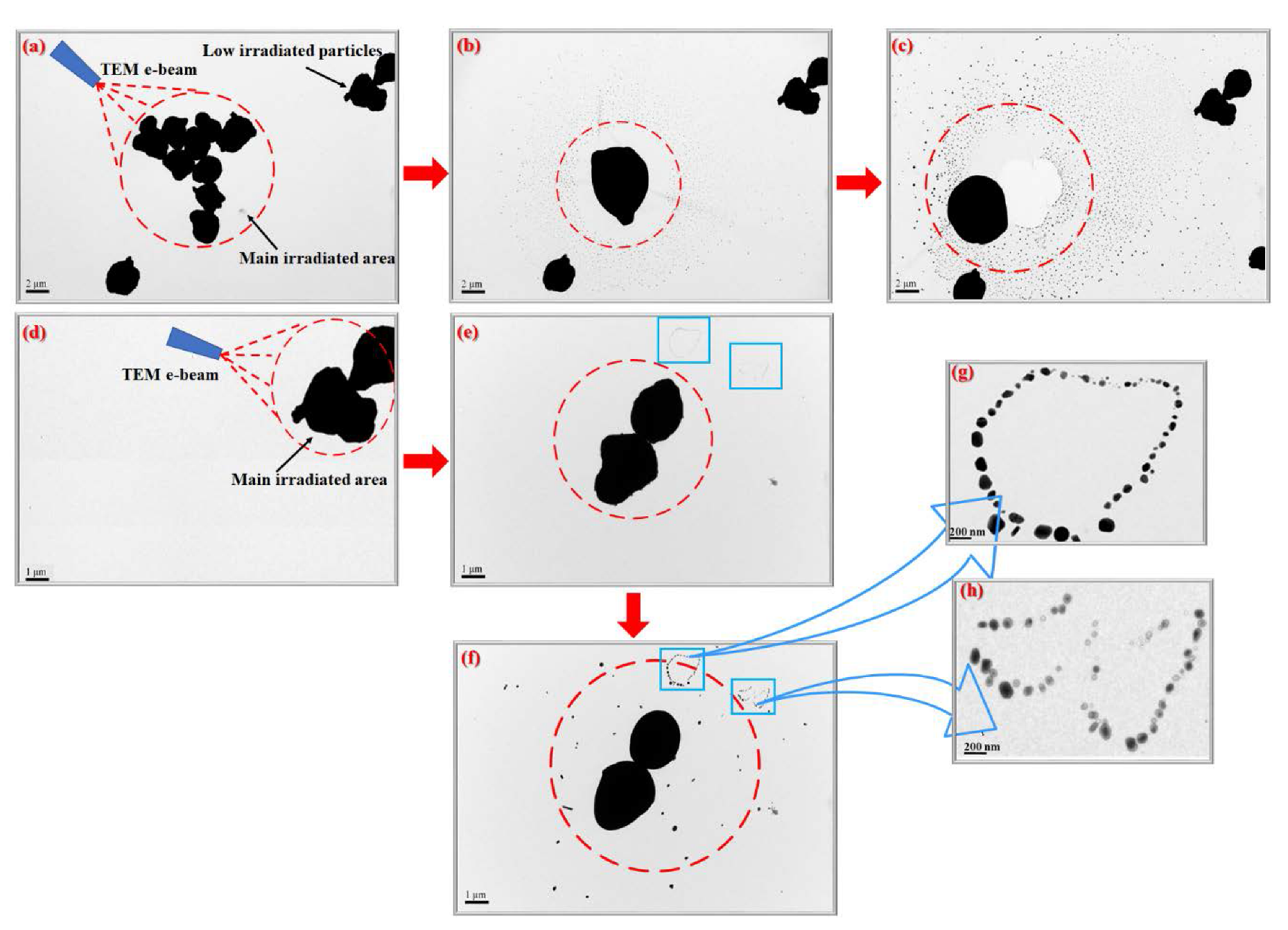 Materials 13 01507 g003 Materials 13 01507 g003