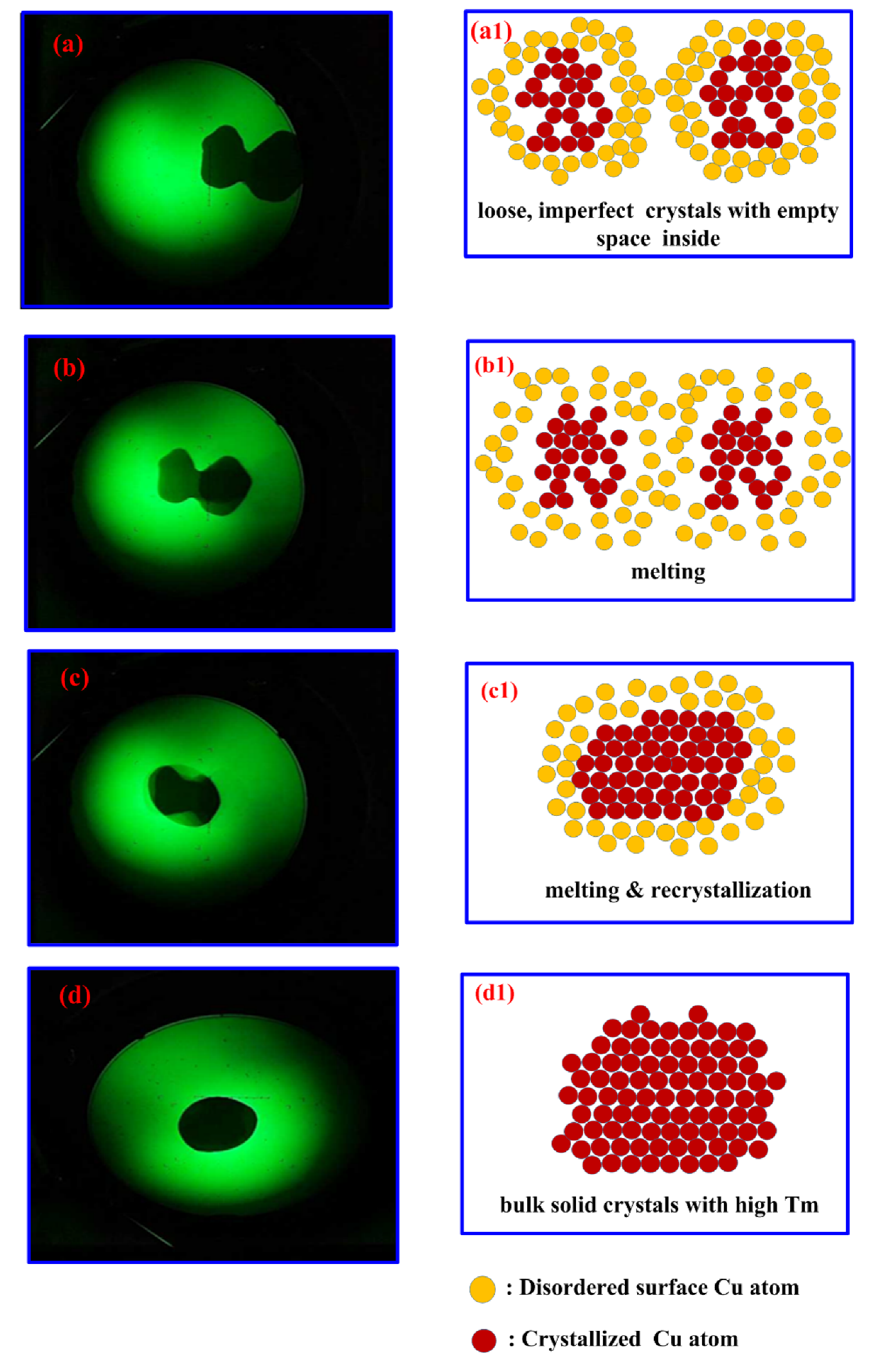 Materials 13 01507 g004 Materials 13 01507 g004