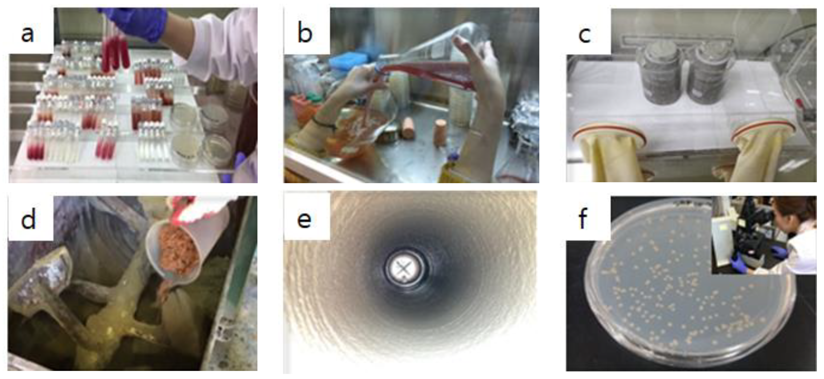 Materials 13 01512 g001